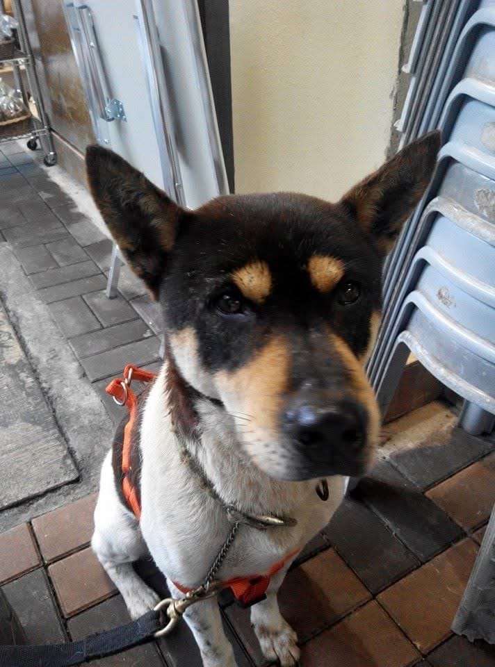image-42