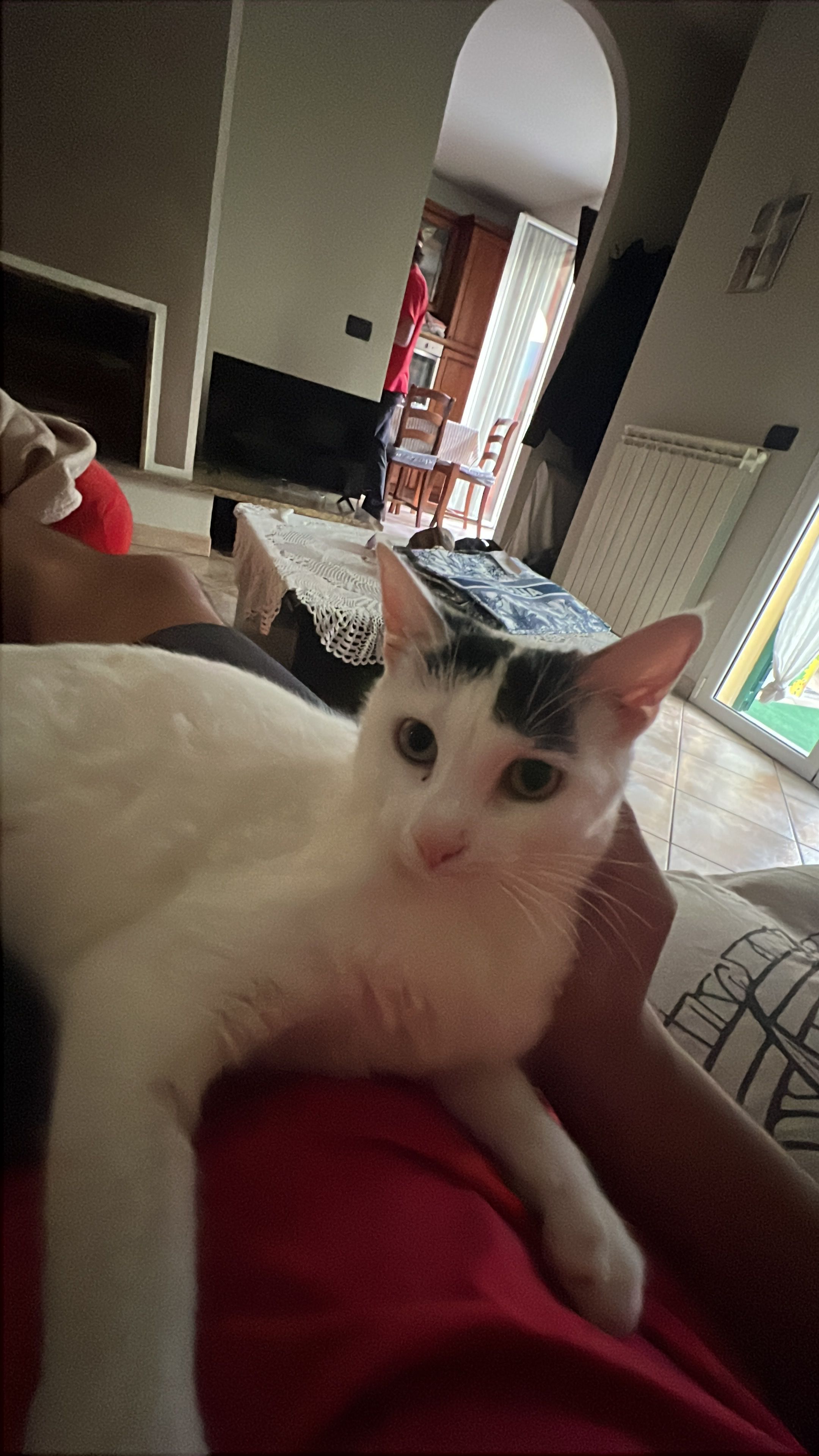 image-13