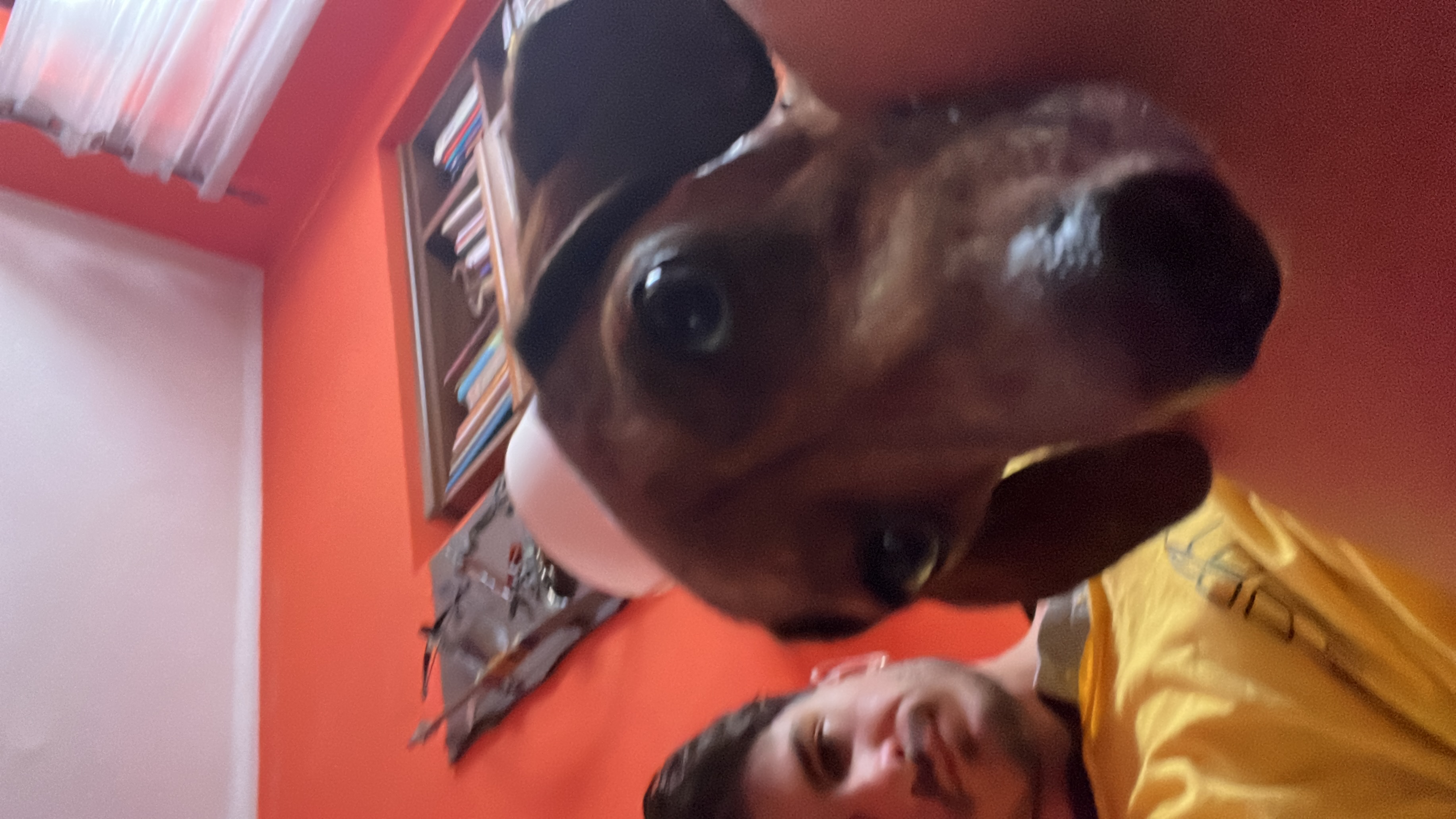 image-4