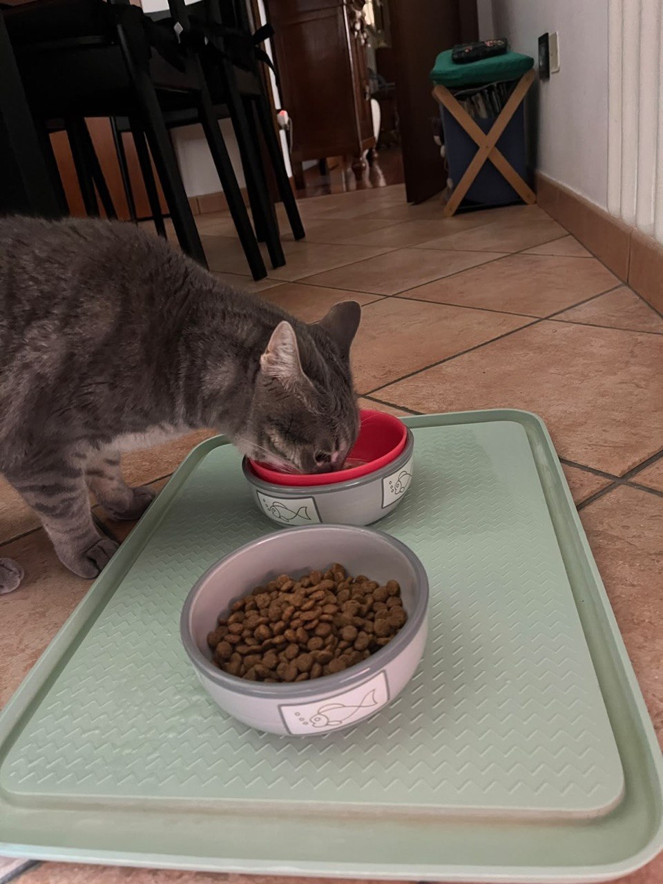 image-5