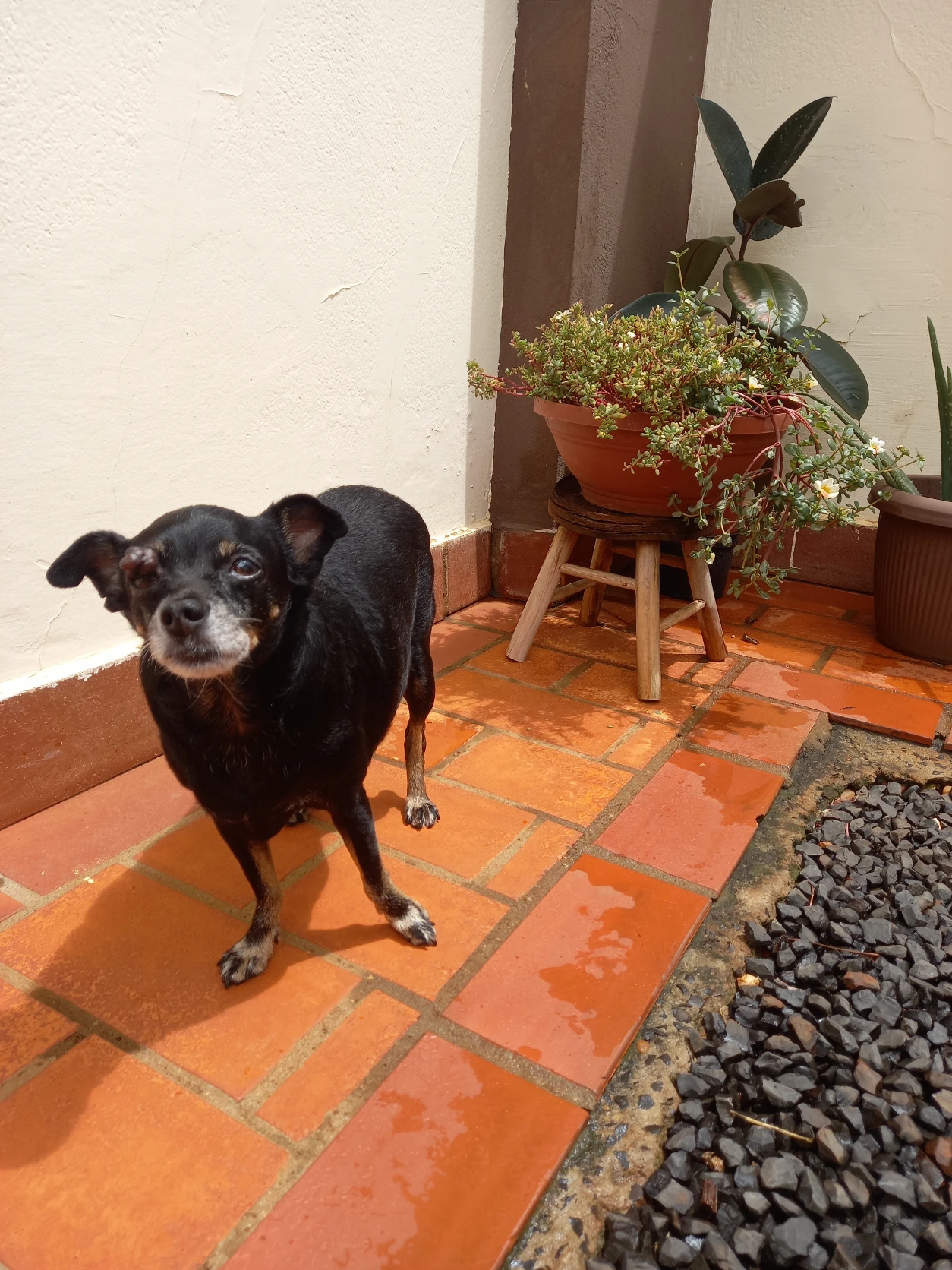 image-7