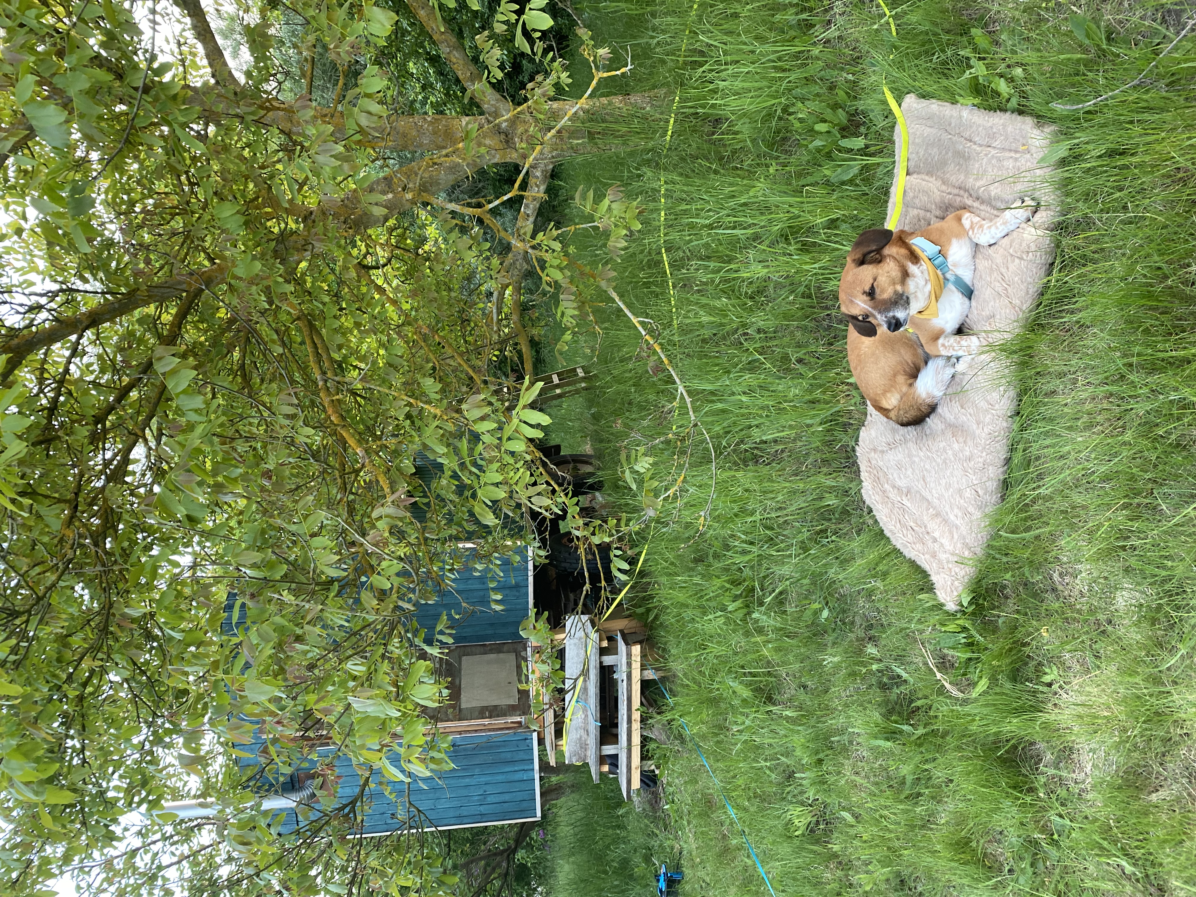 image-16