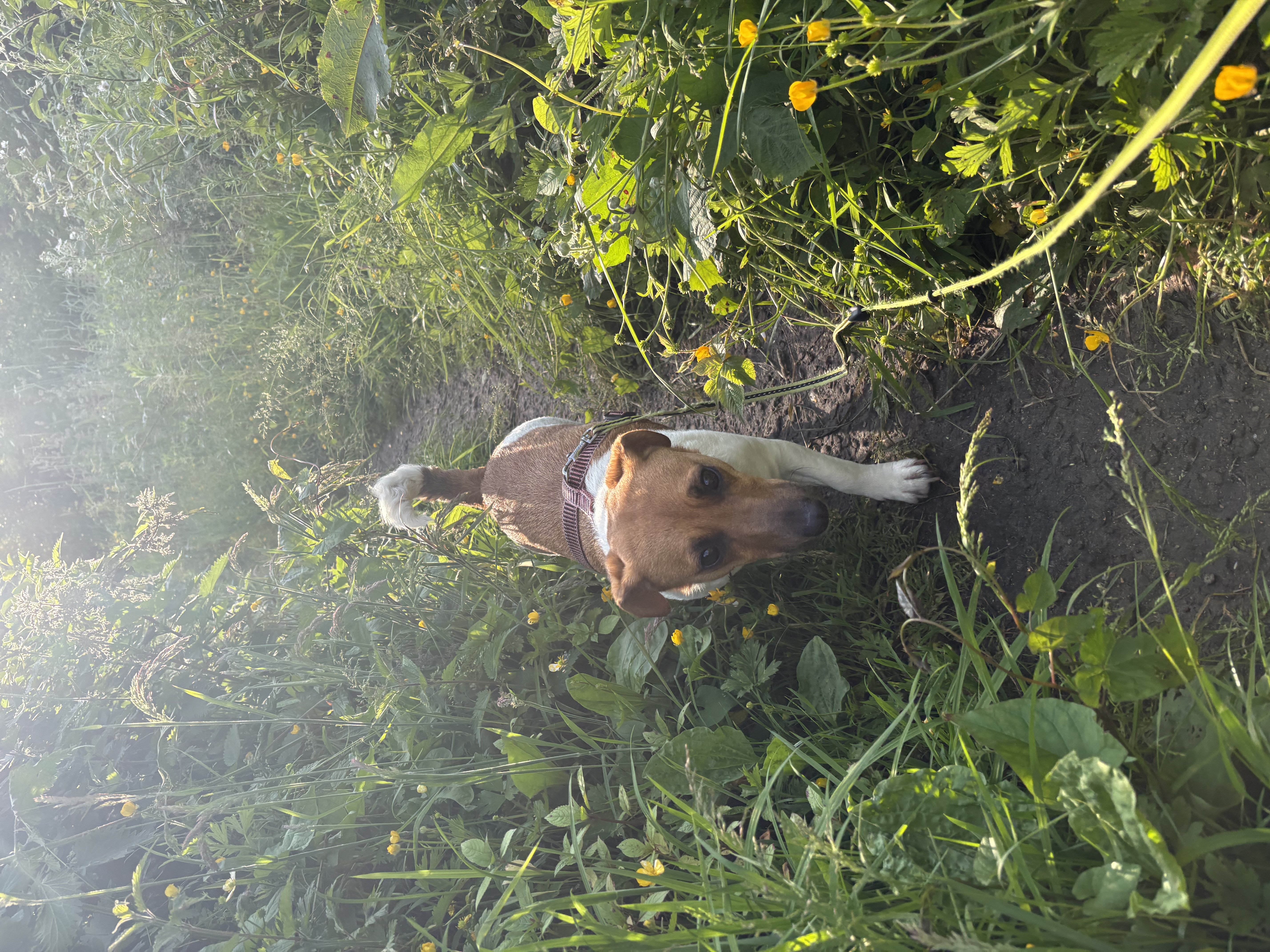 image-13