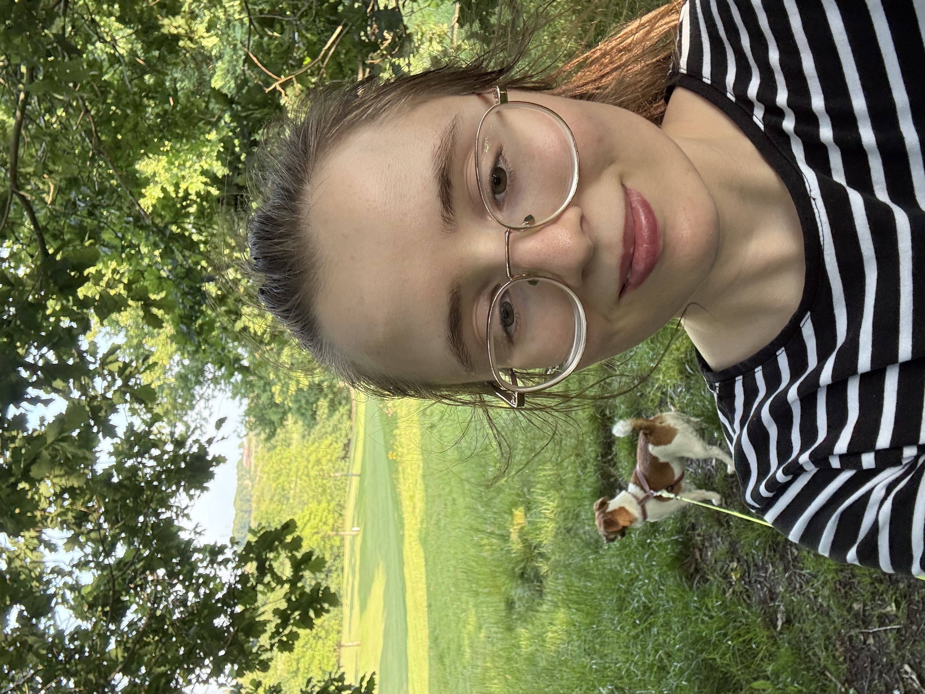 image-6