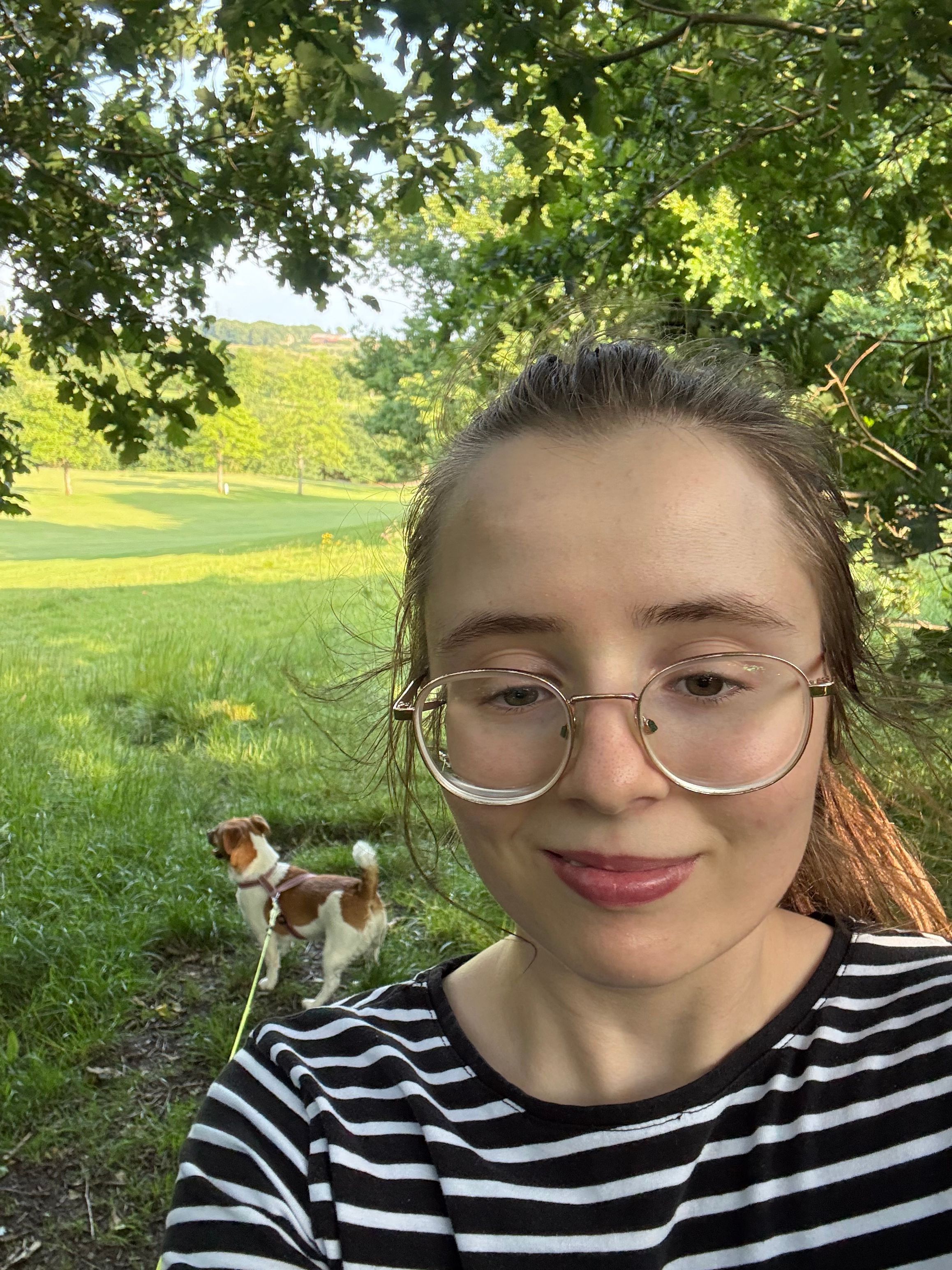 image-6