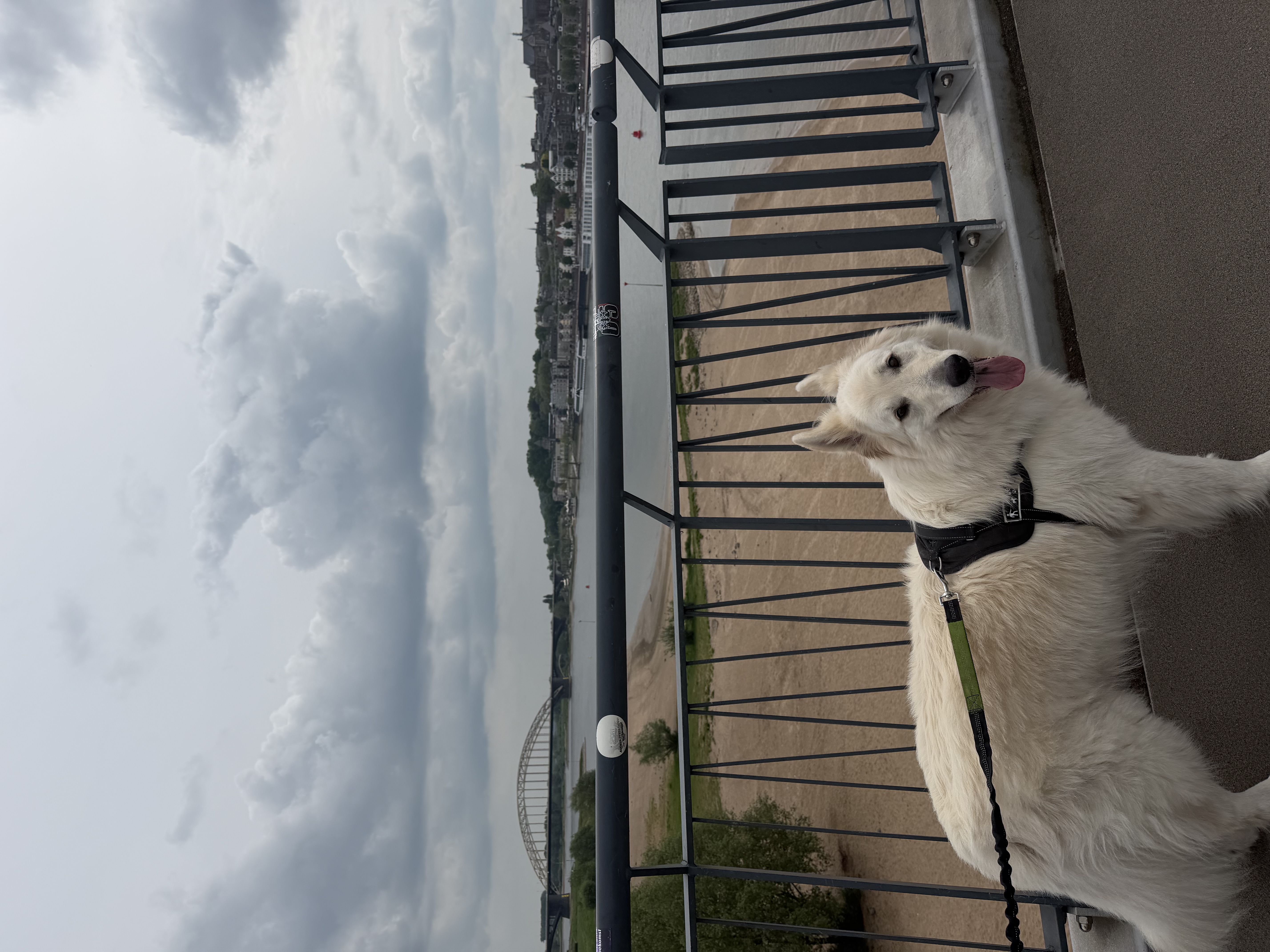 image-5