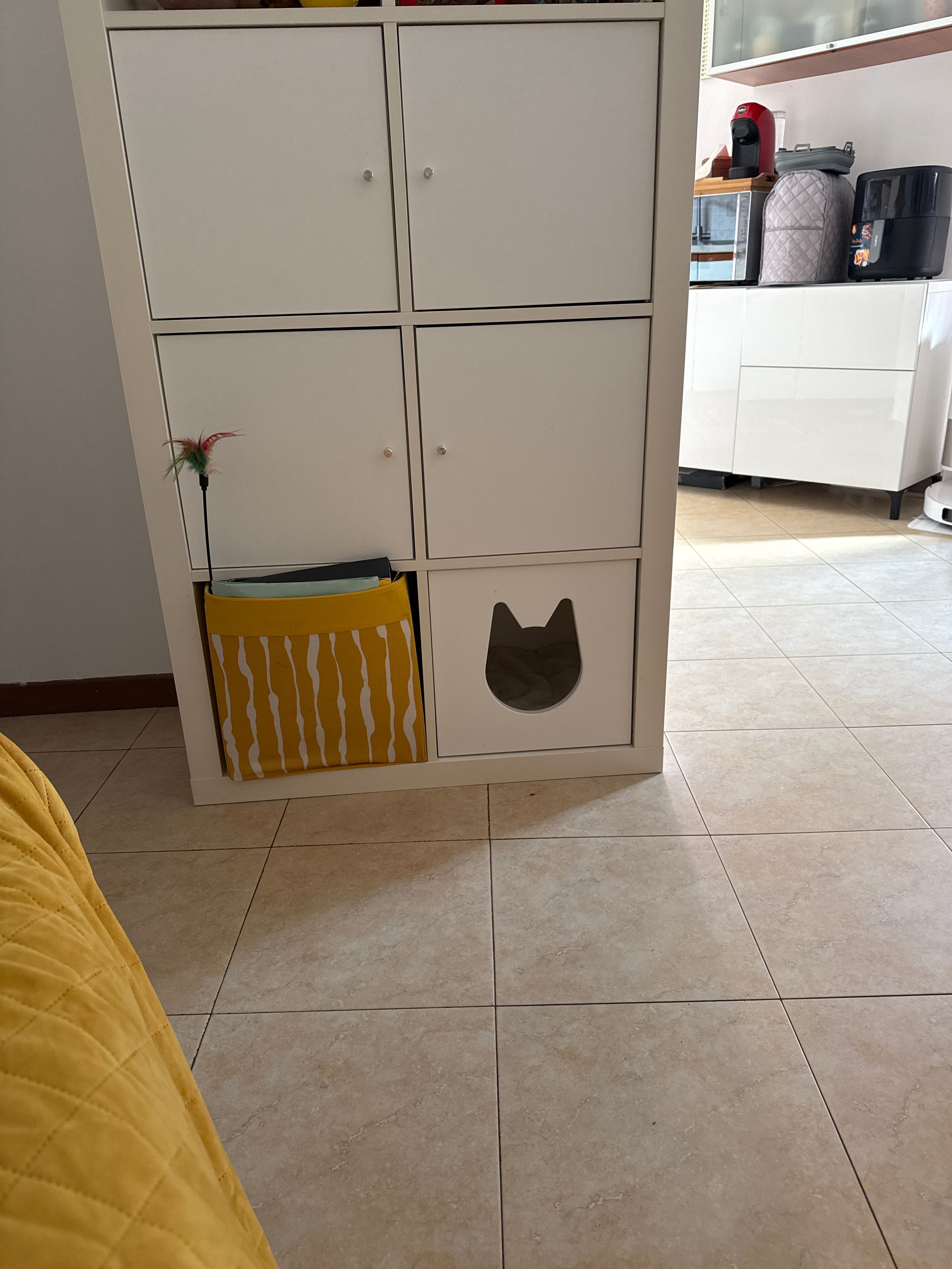 image-14