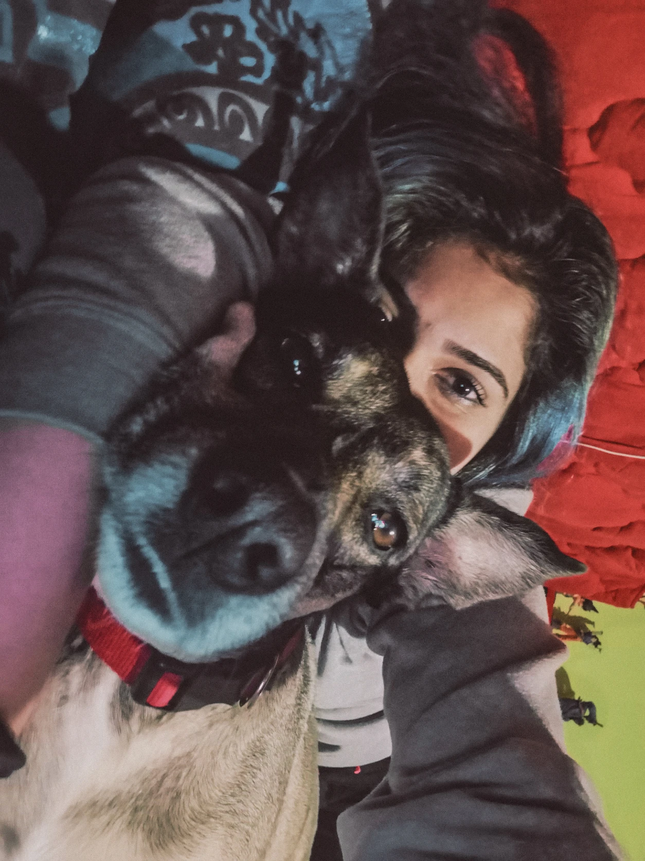 image-8