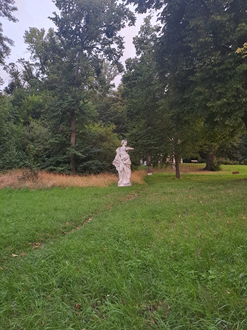 image-14