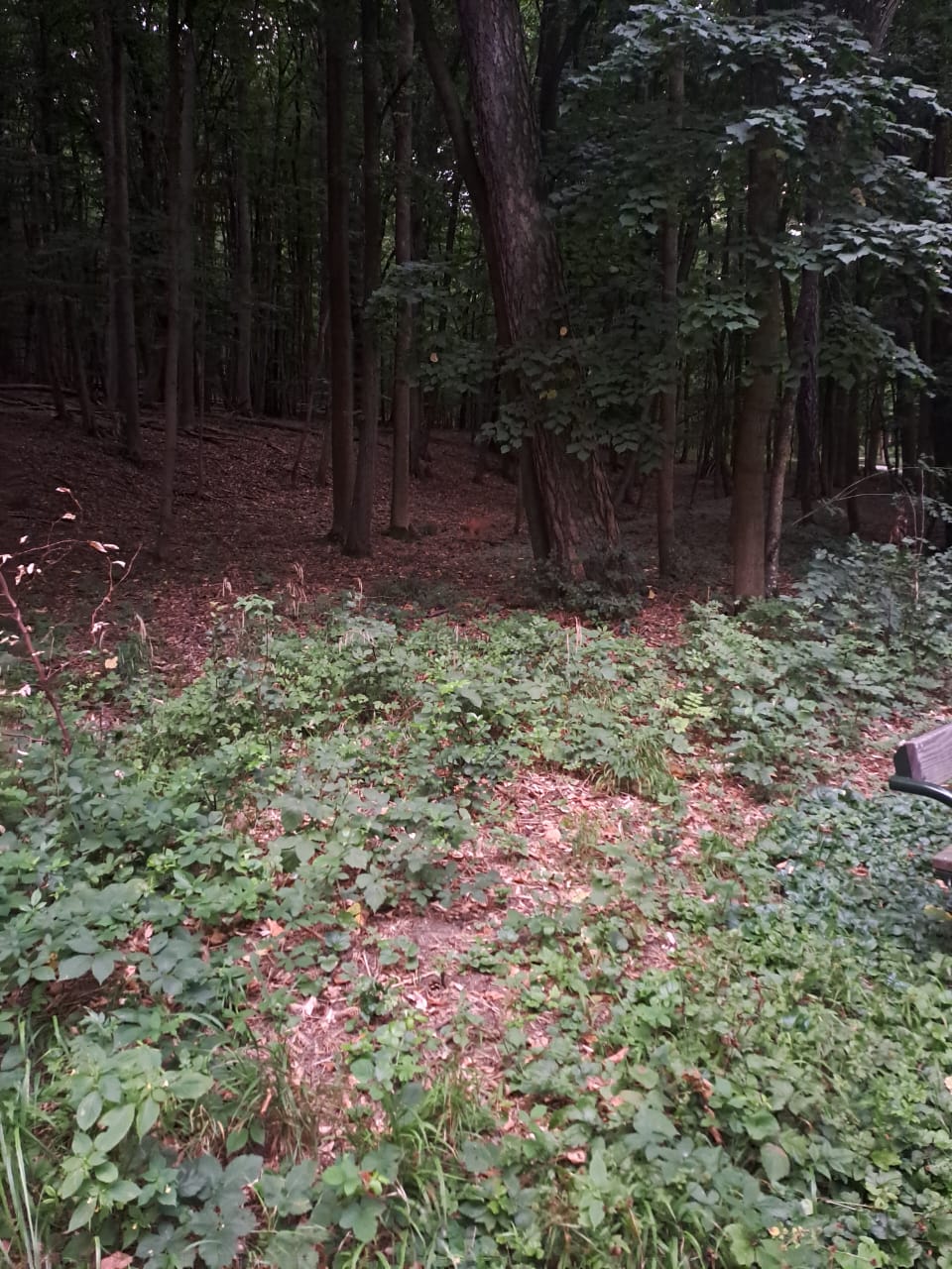 image-13