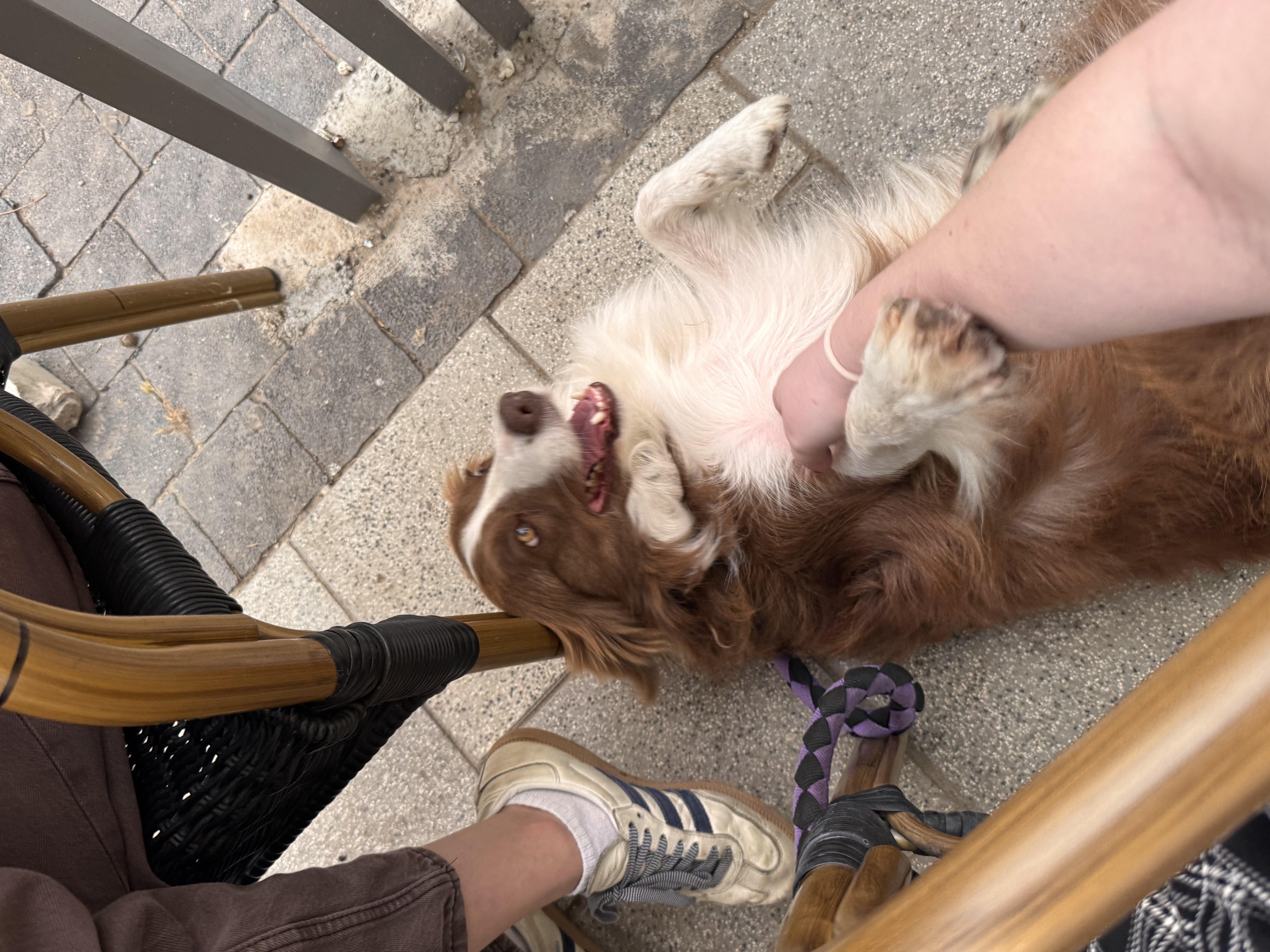 image-5