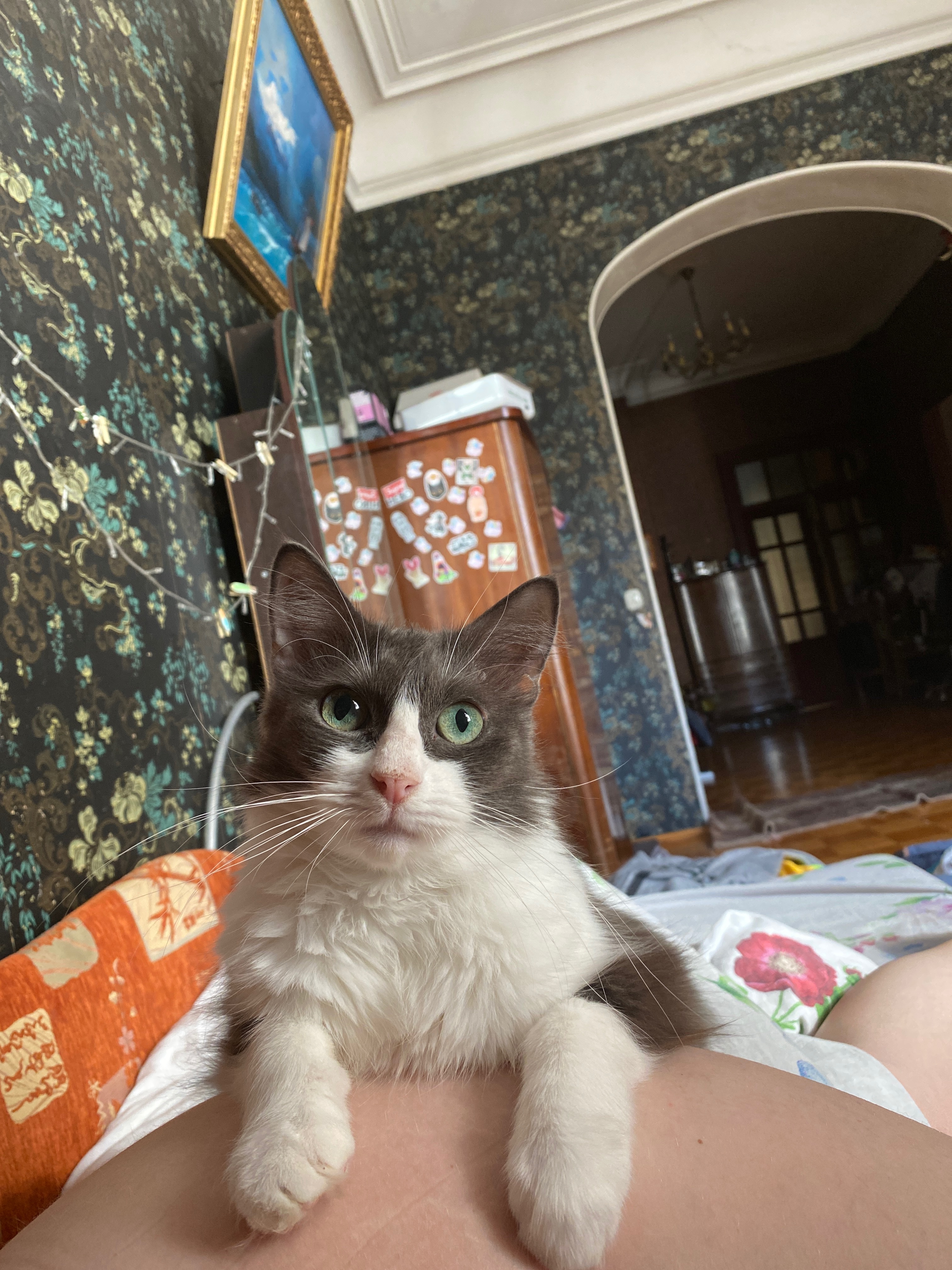 image-15
