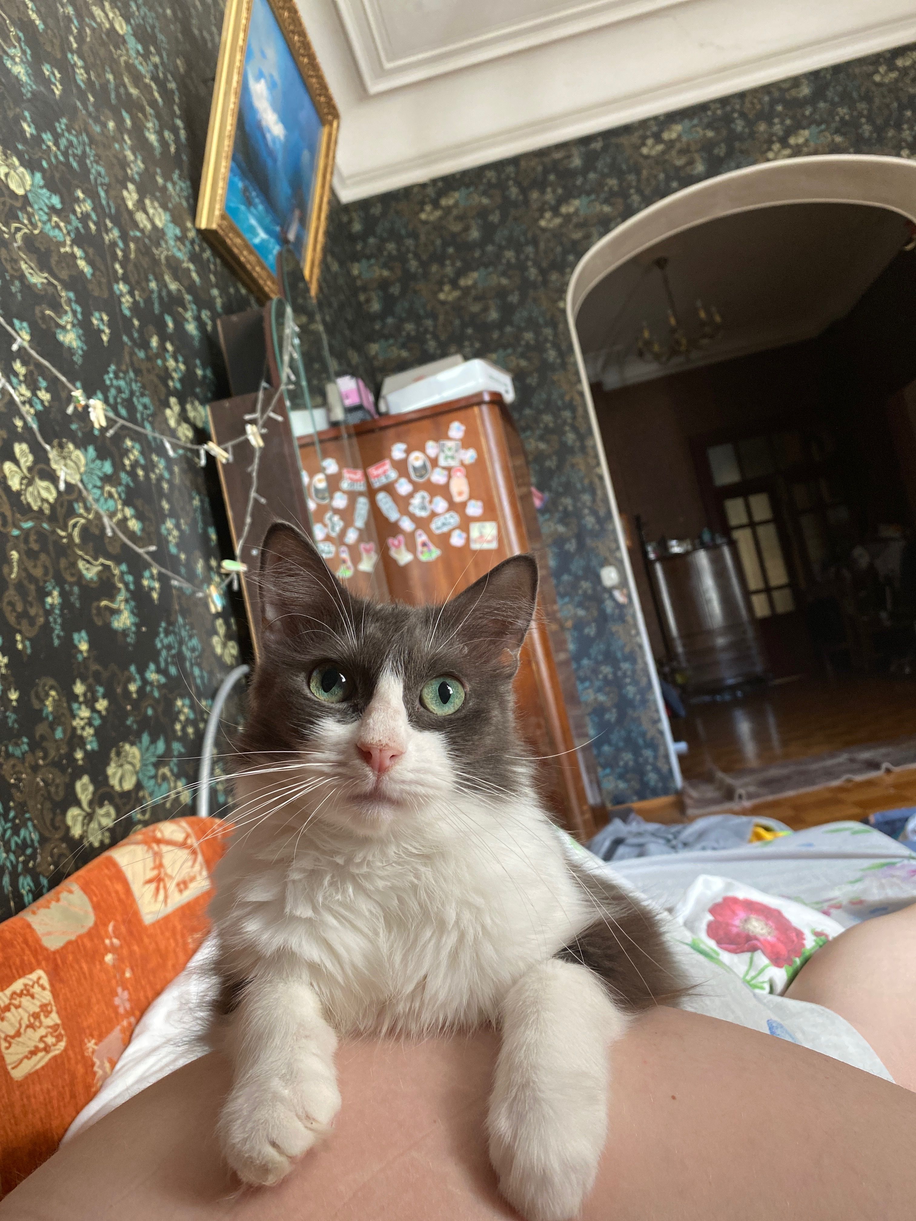 image-15