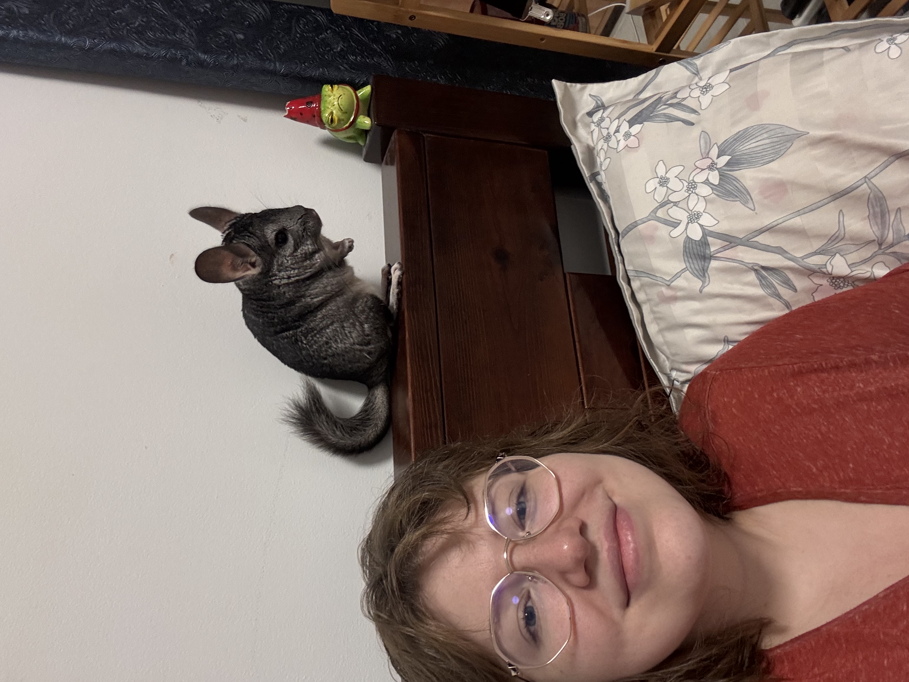 image-7