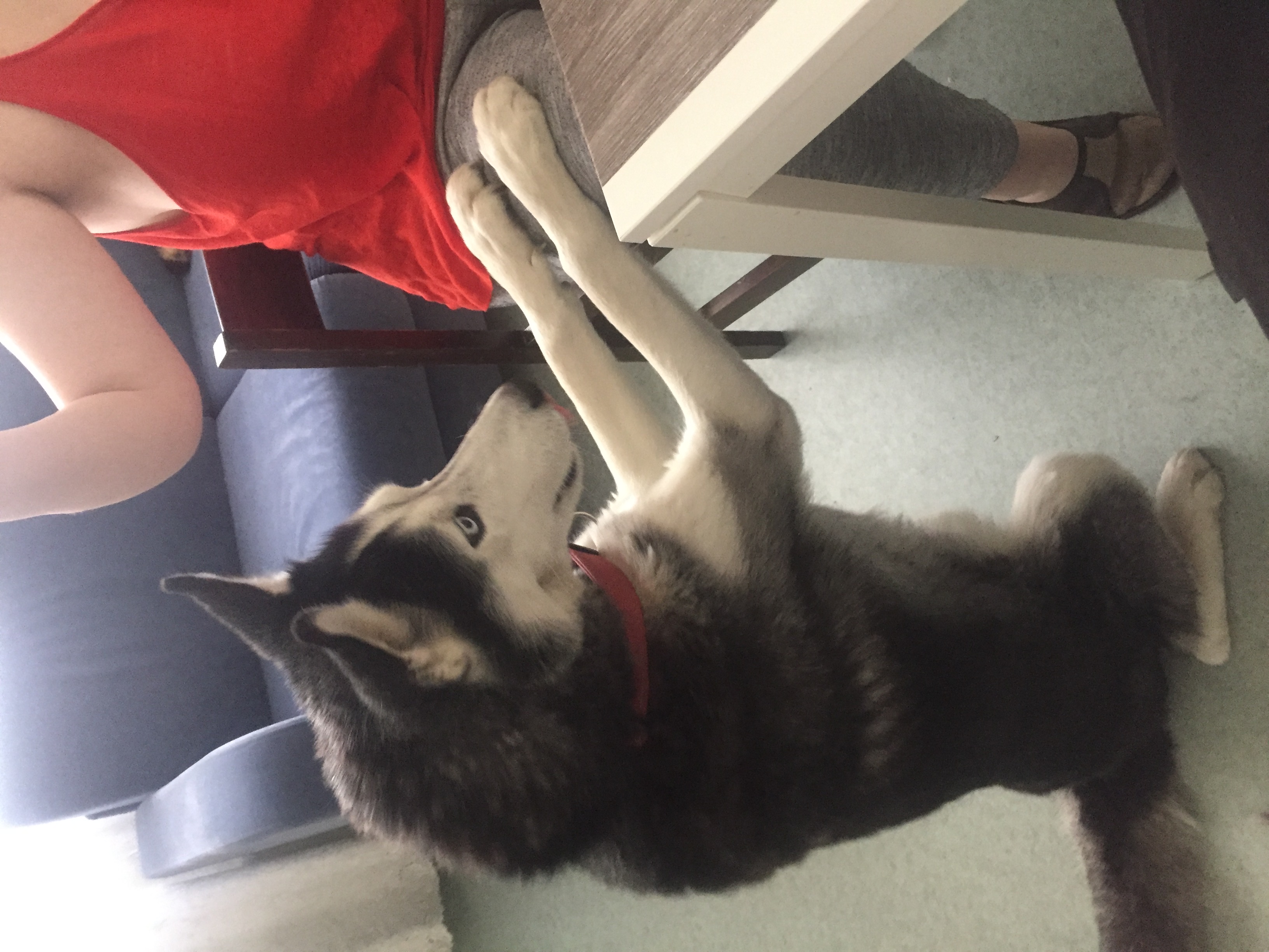 image-11