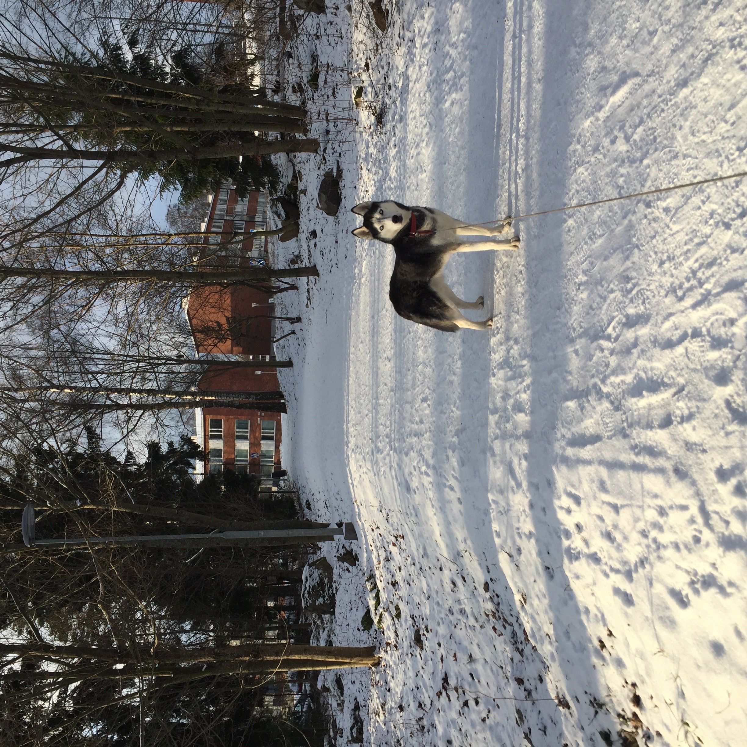 image-3