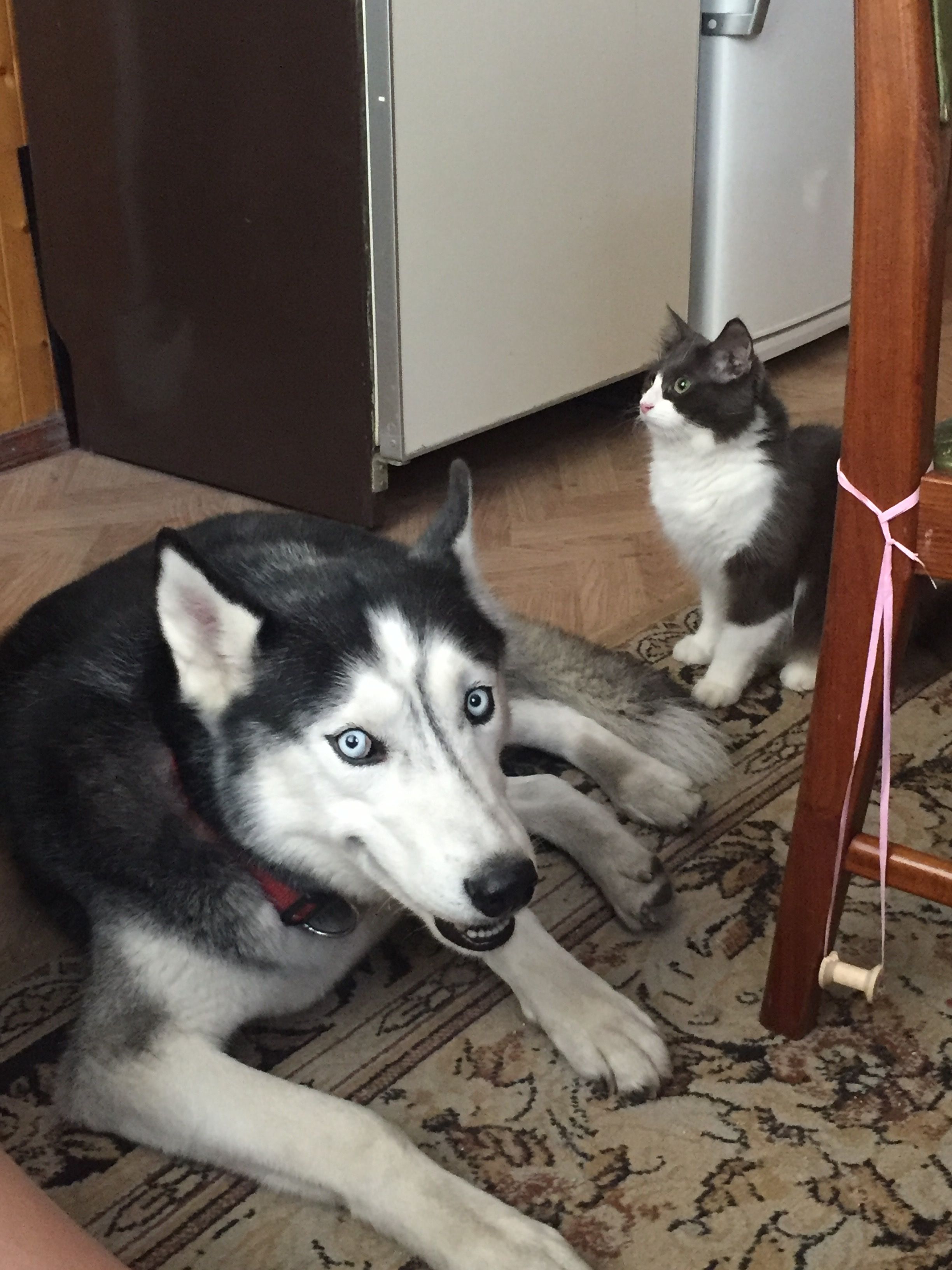 image-12