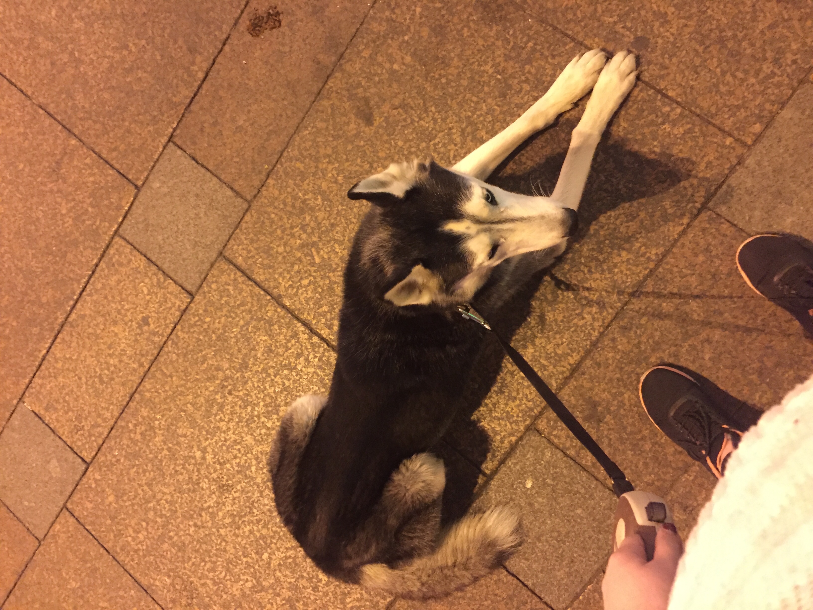 image-17