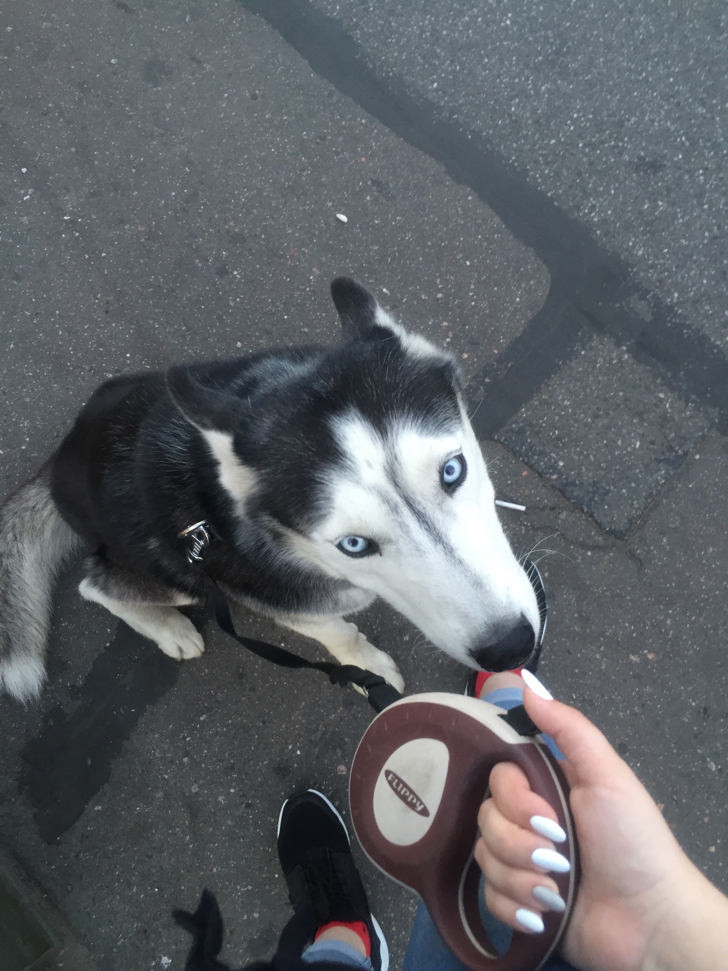image-8