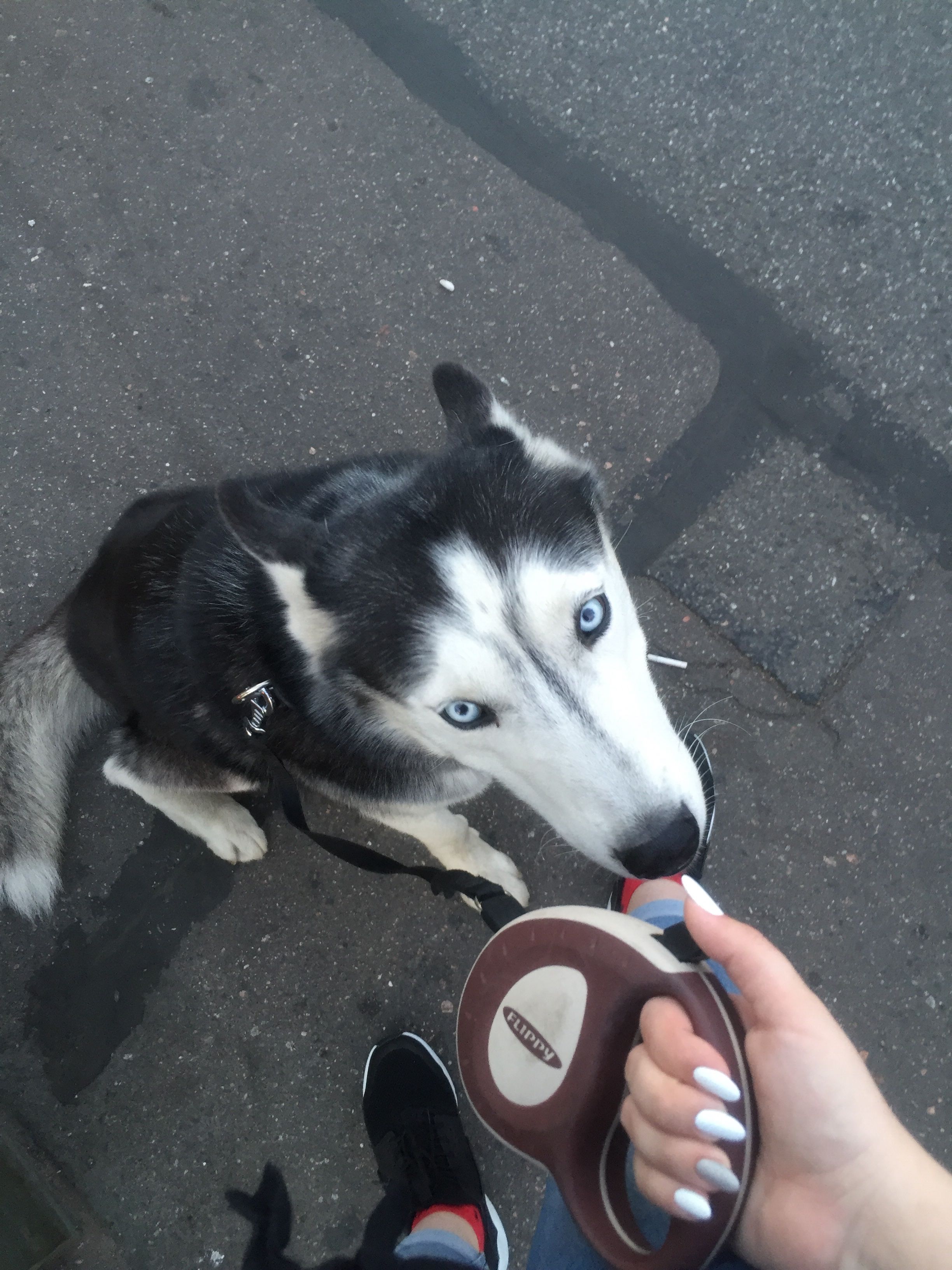 image-8