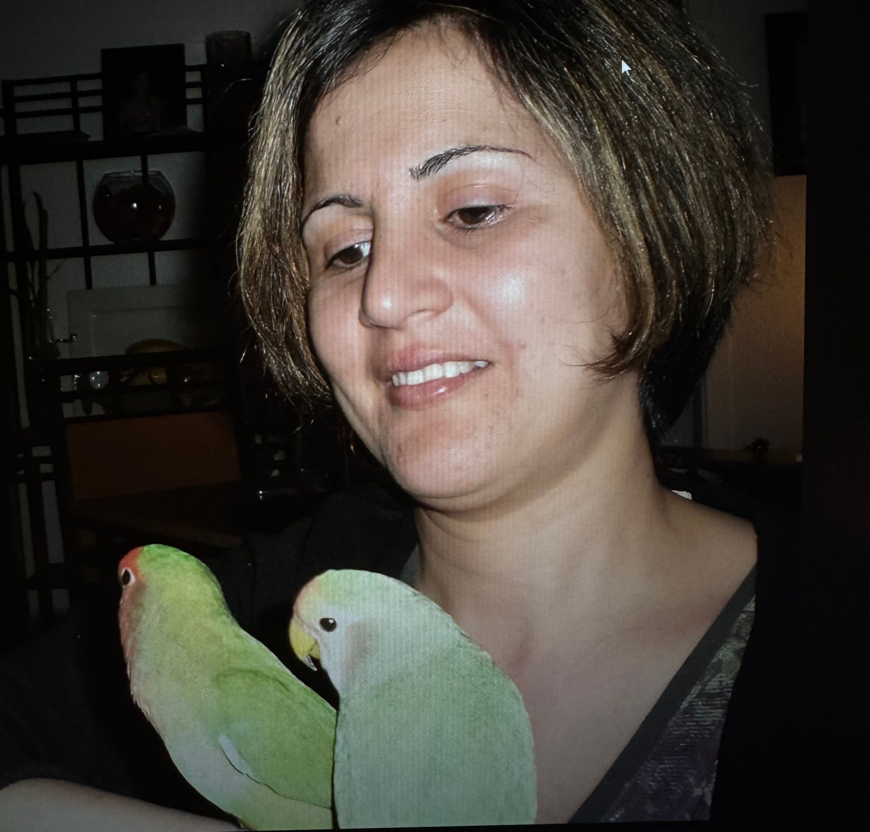 image-6