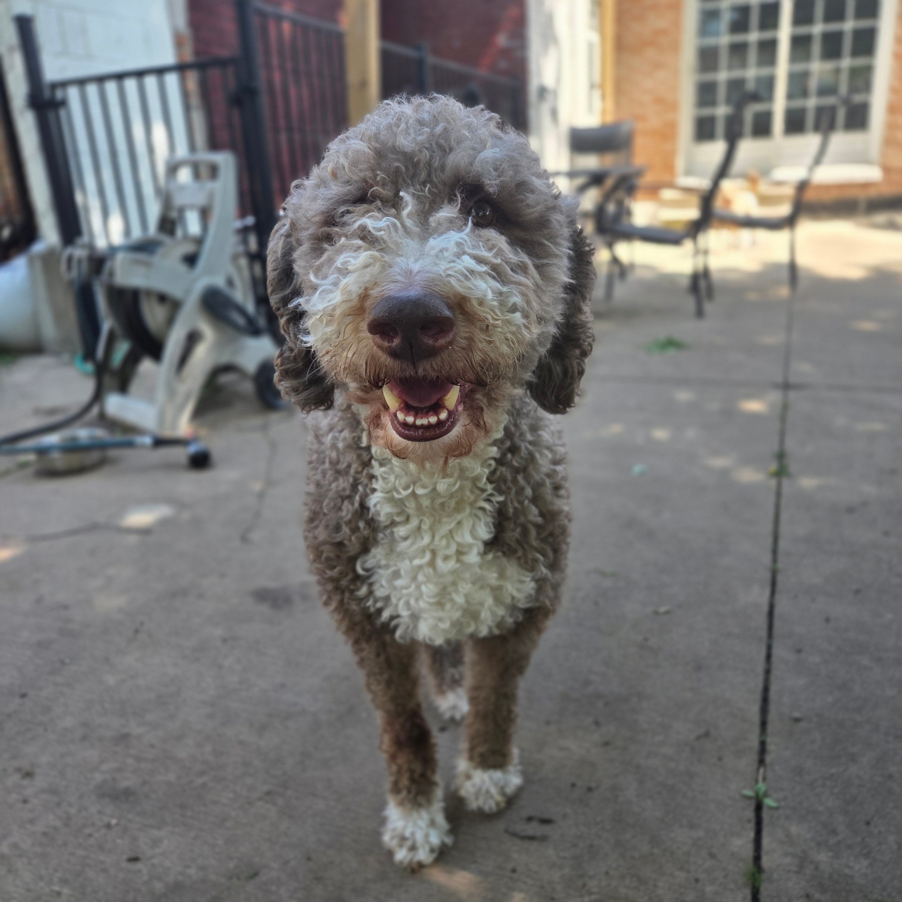Oakley