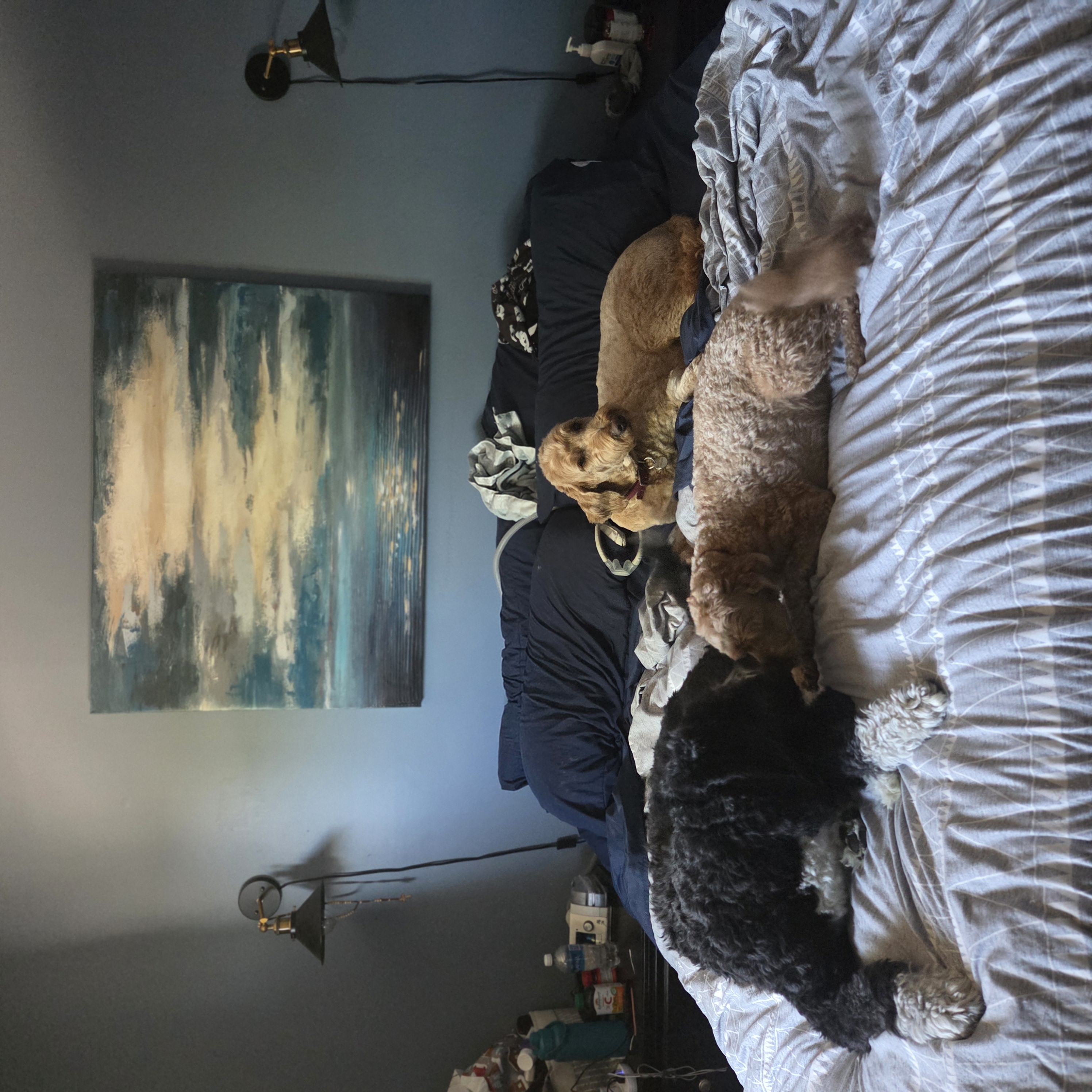 image-13