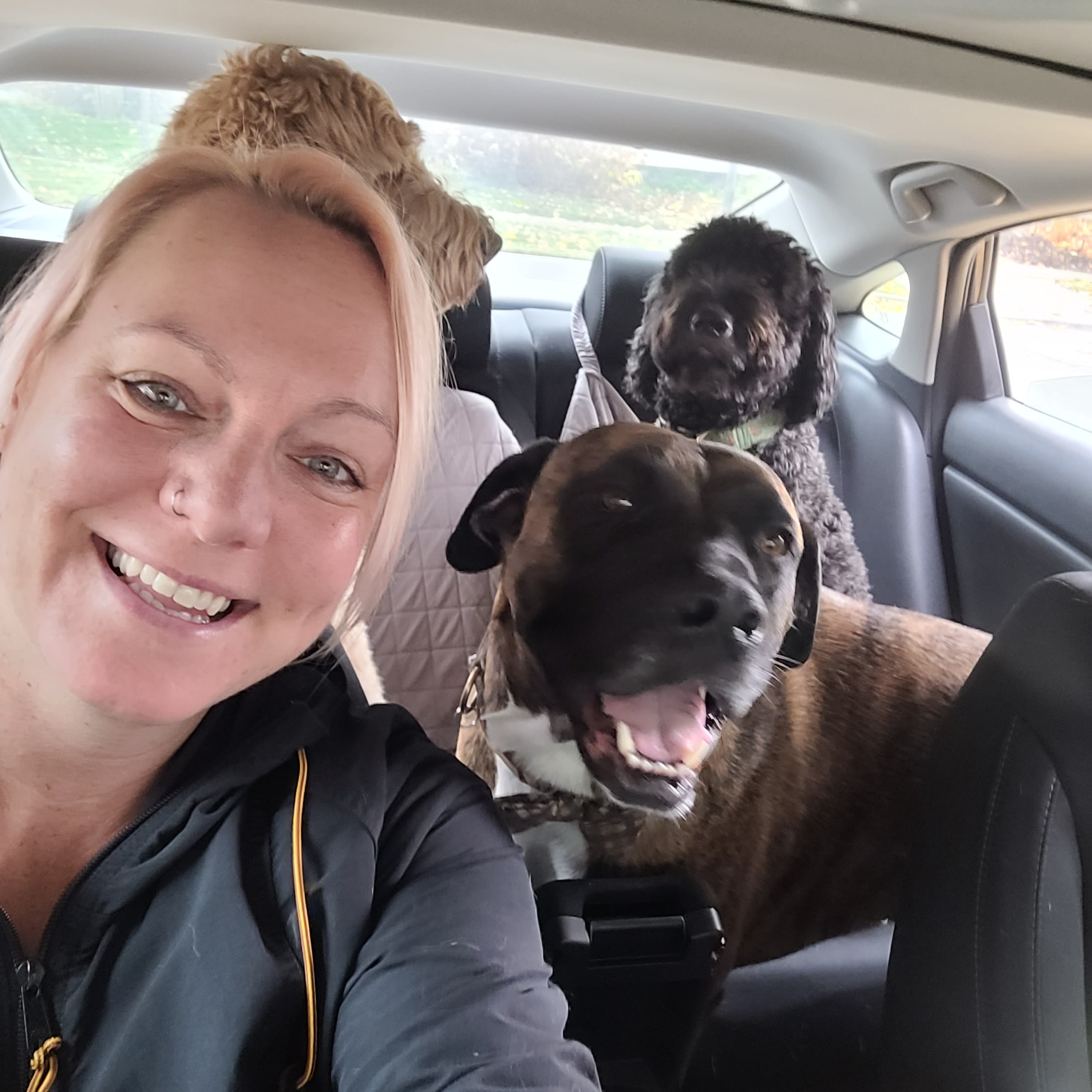 image-2