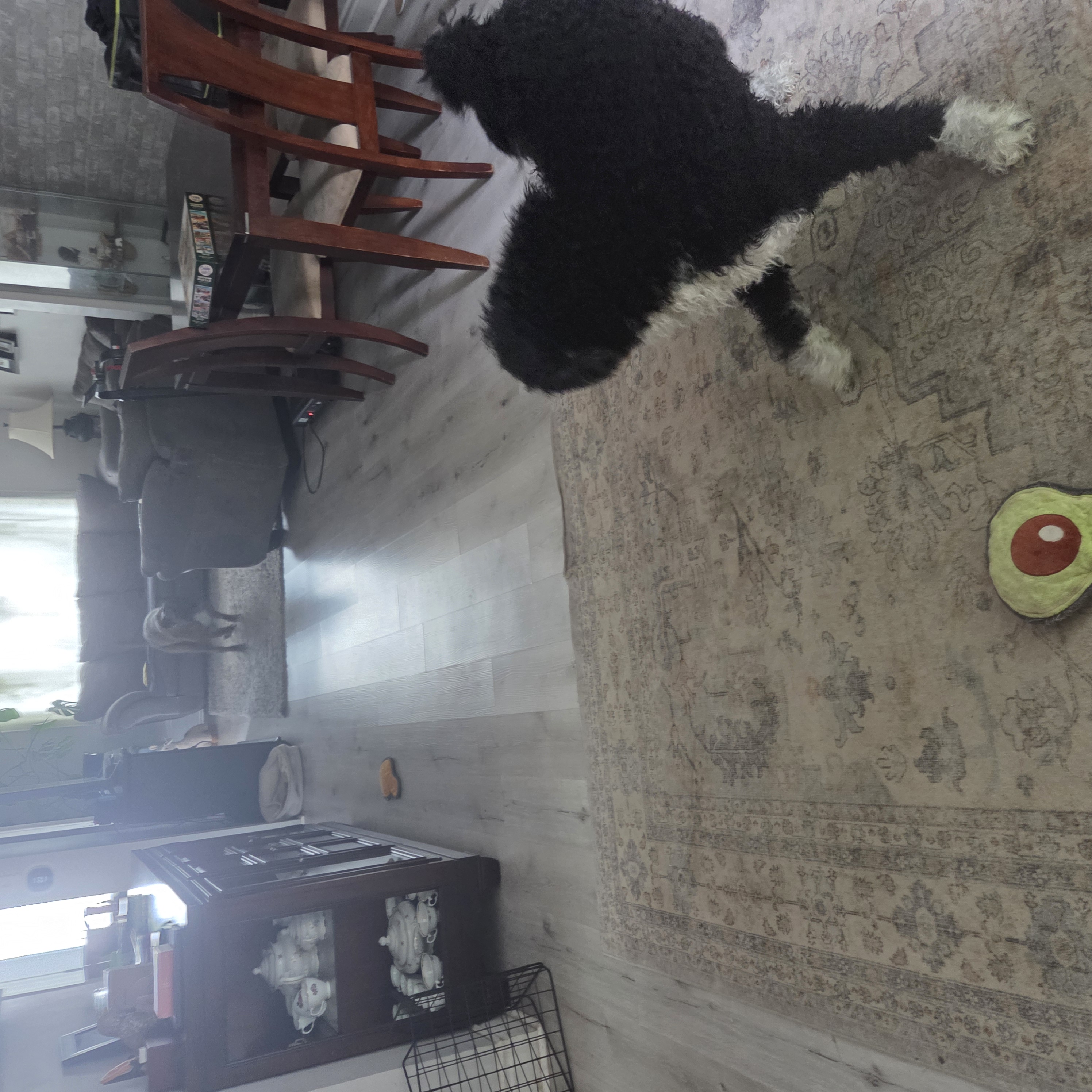 image-14
