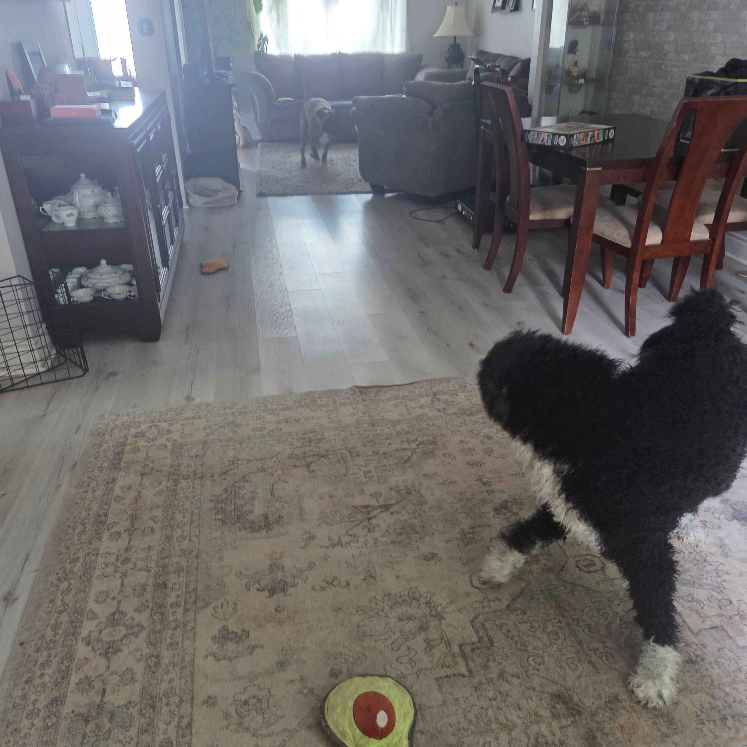 image-14