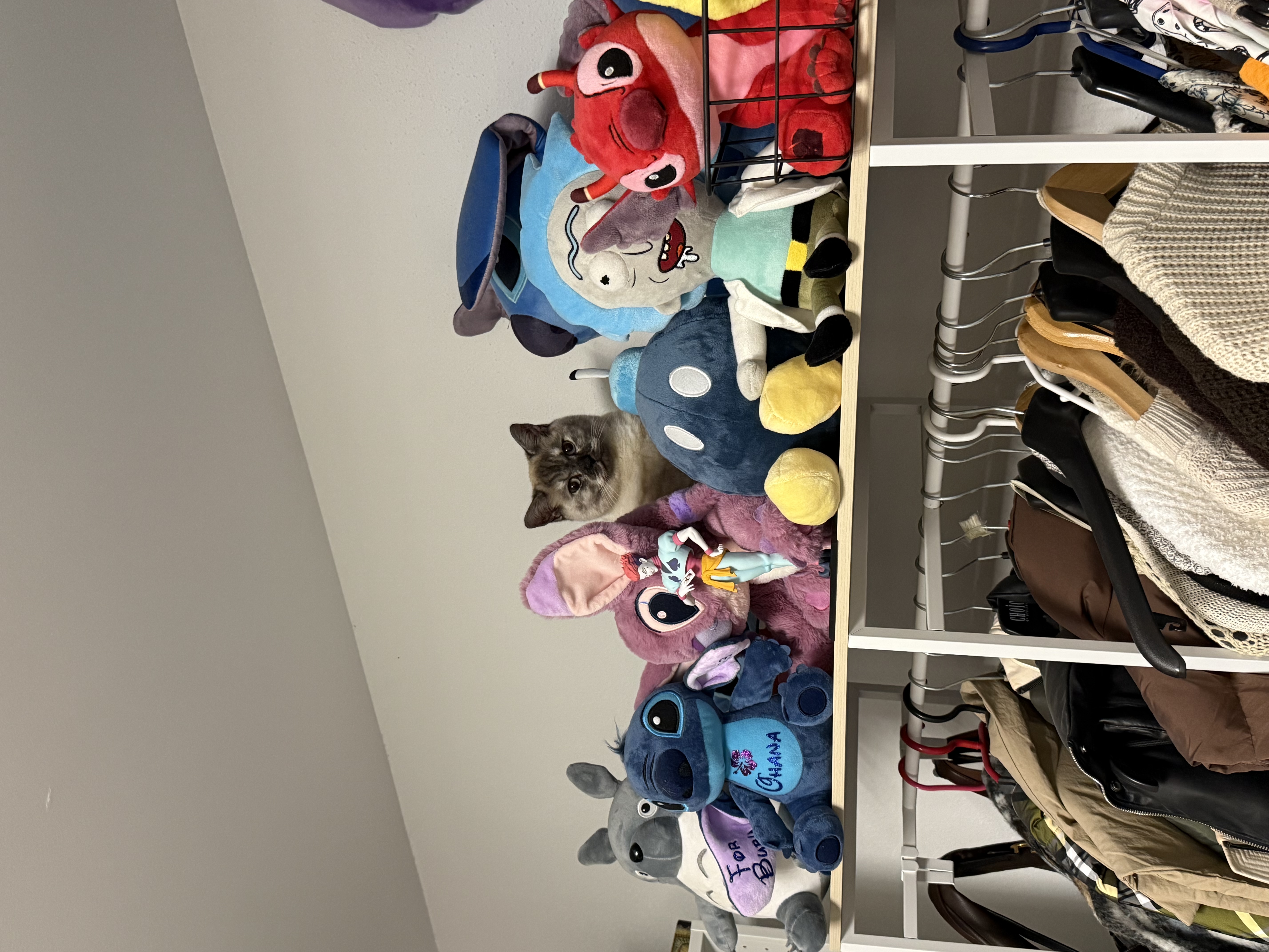 image-10