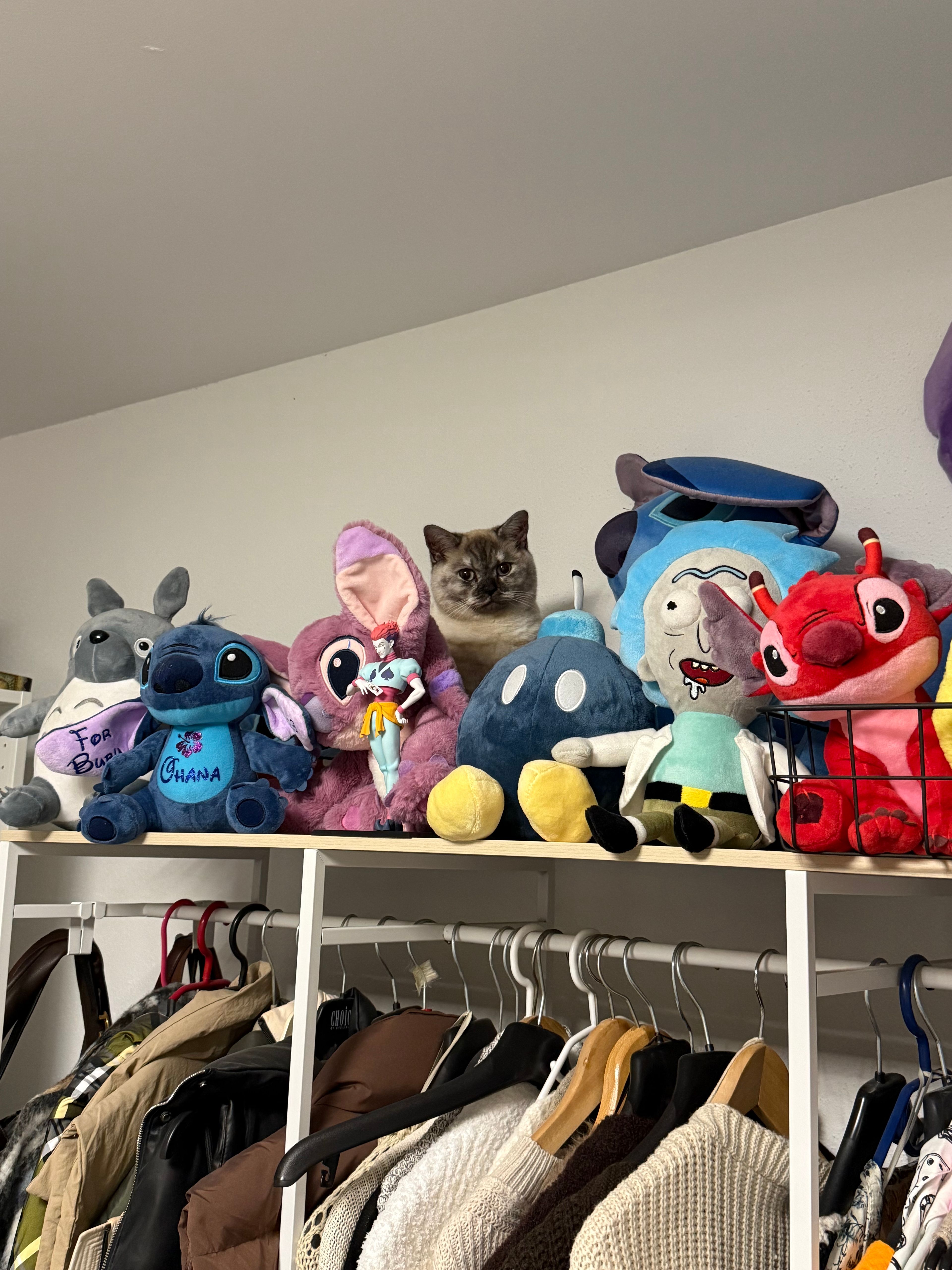 image-10