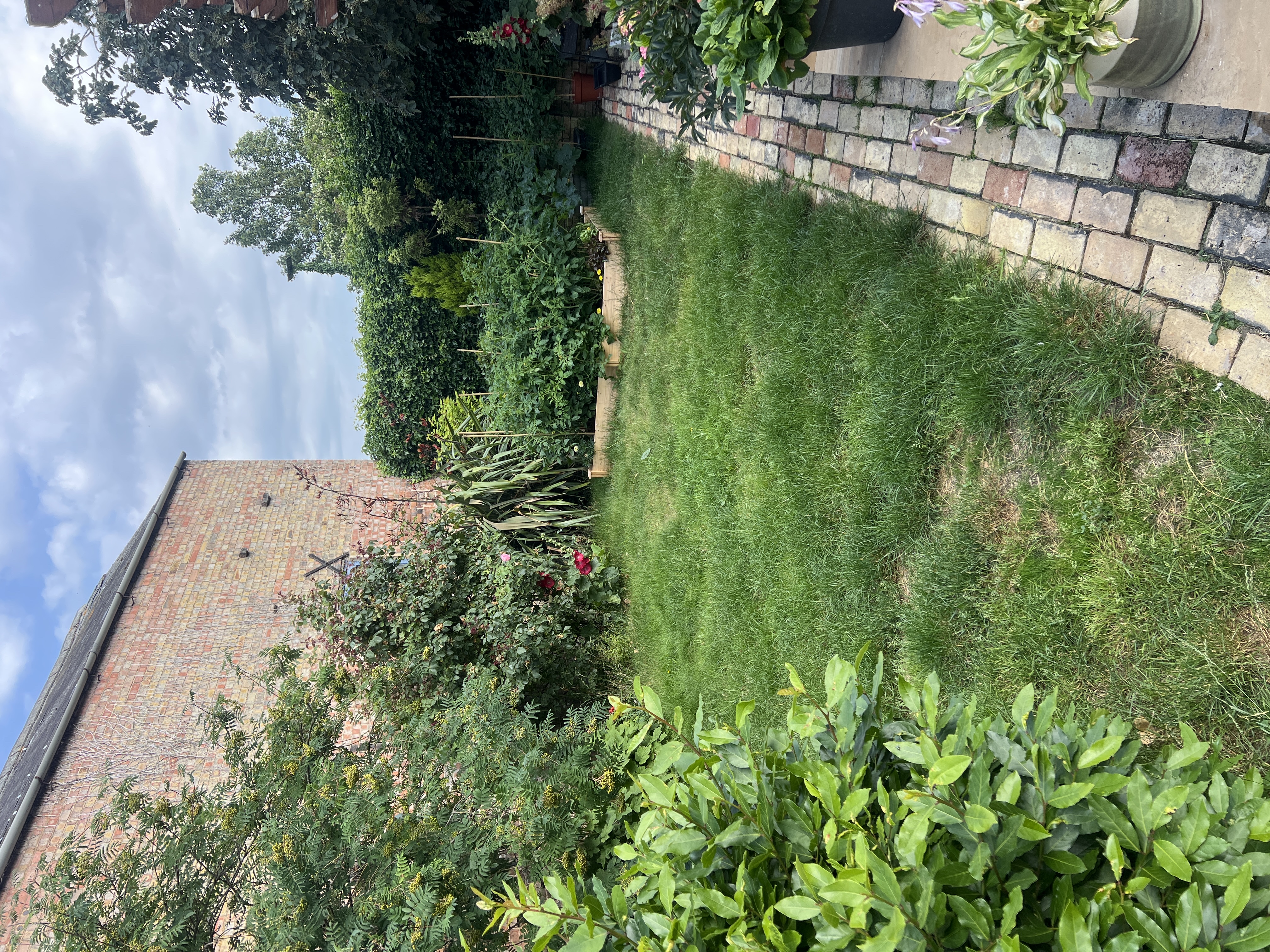 image-24