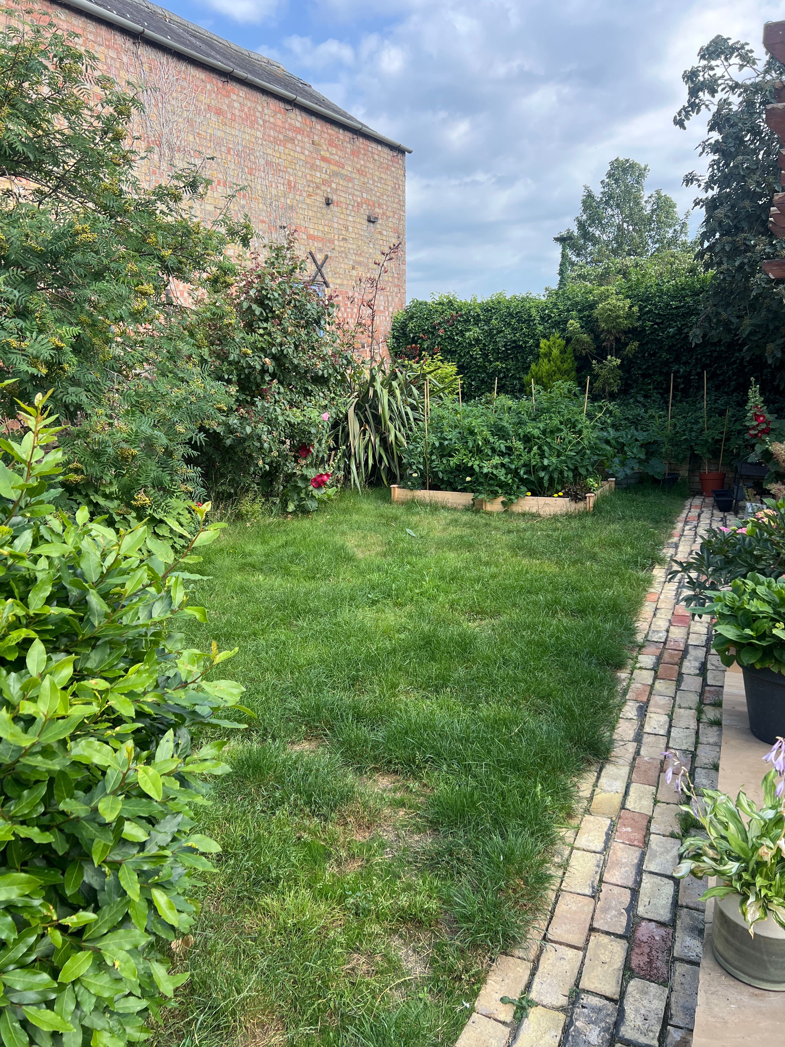 image-24