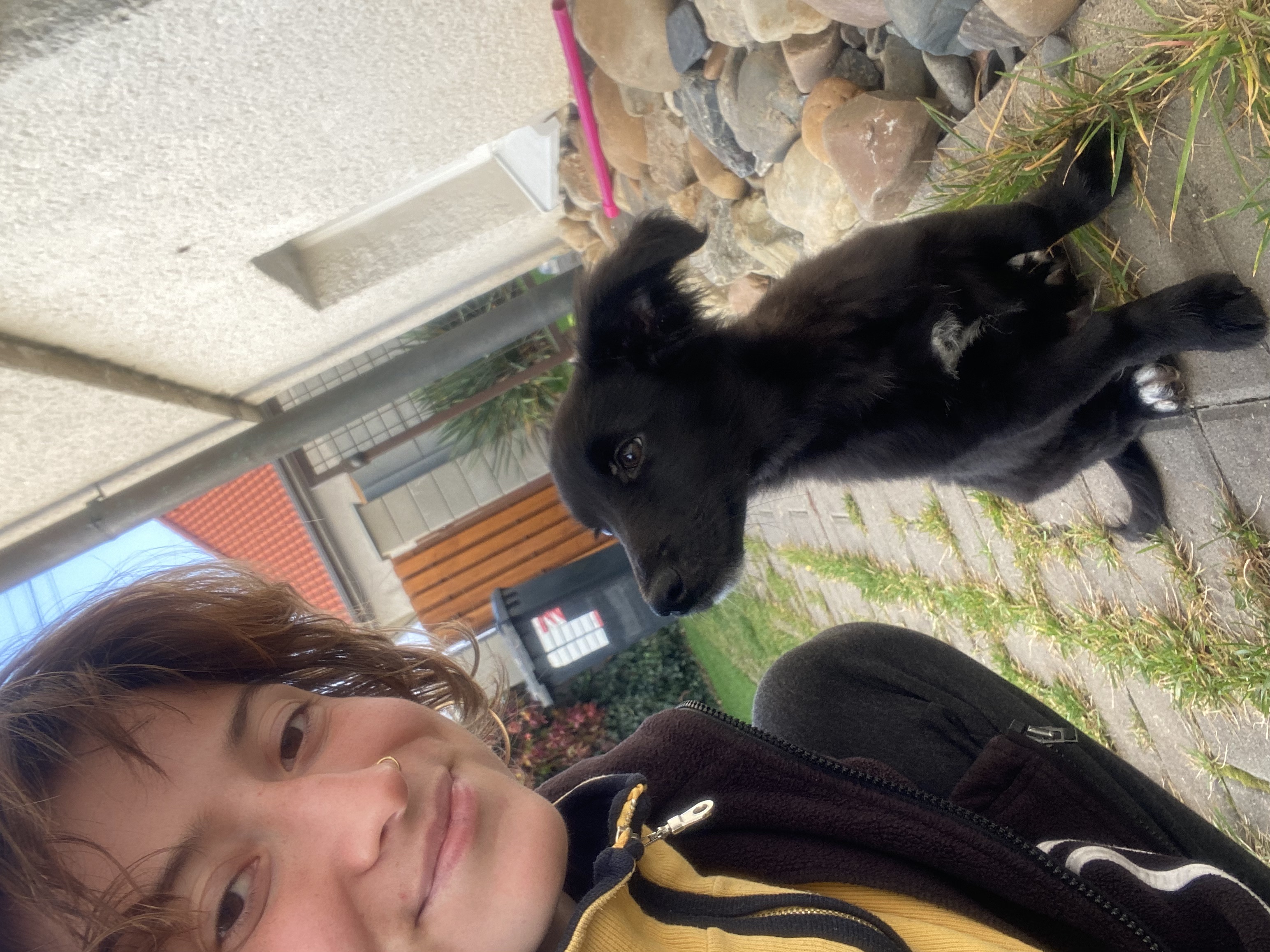 image-7