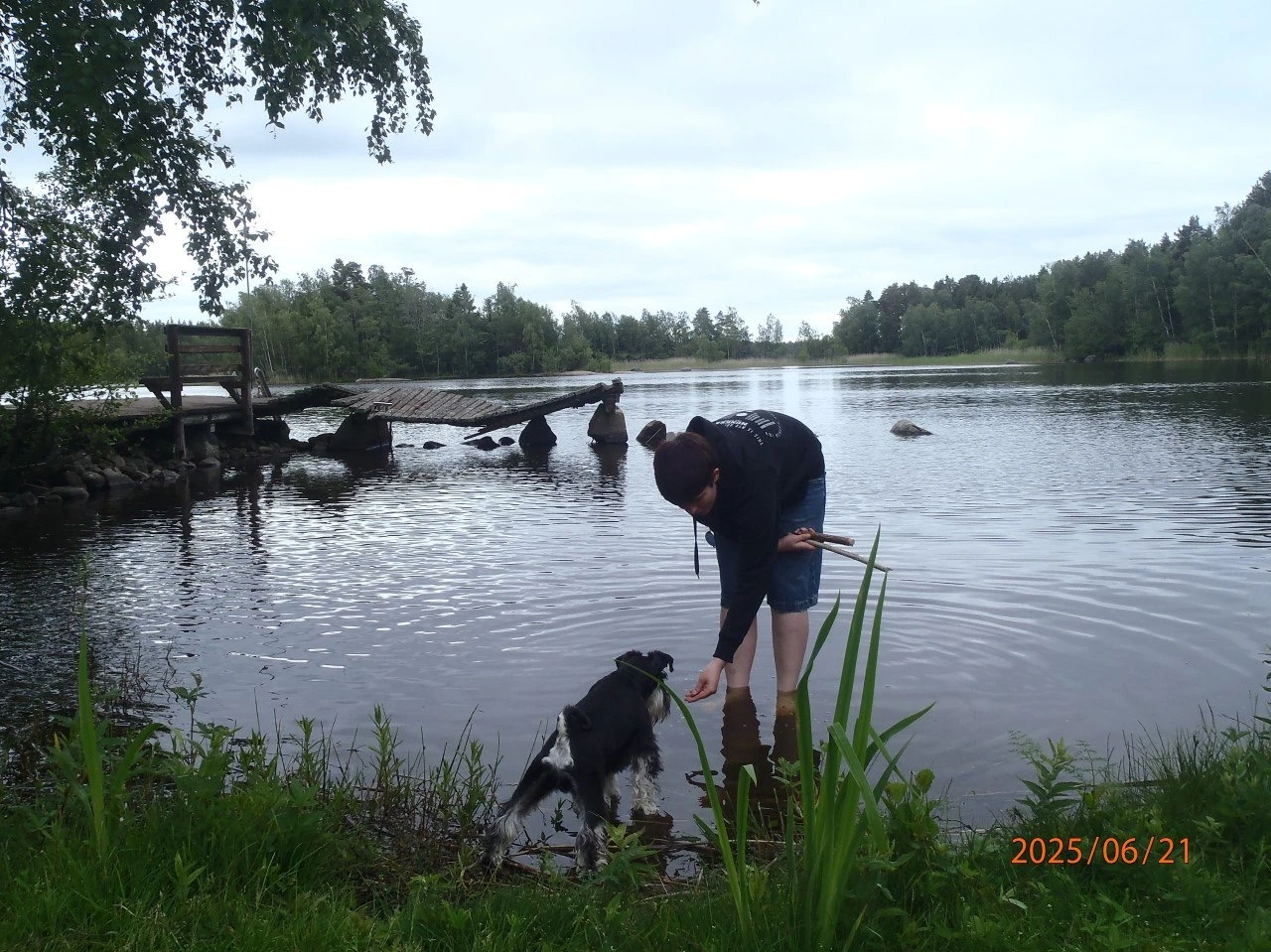 image-6