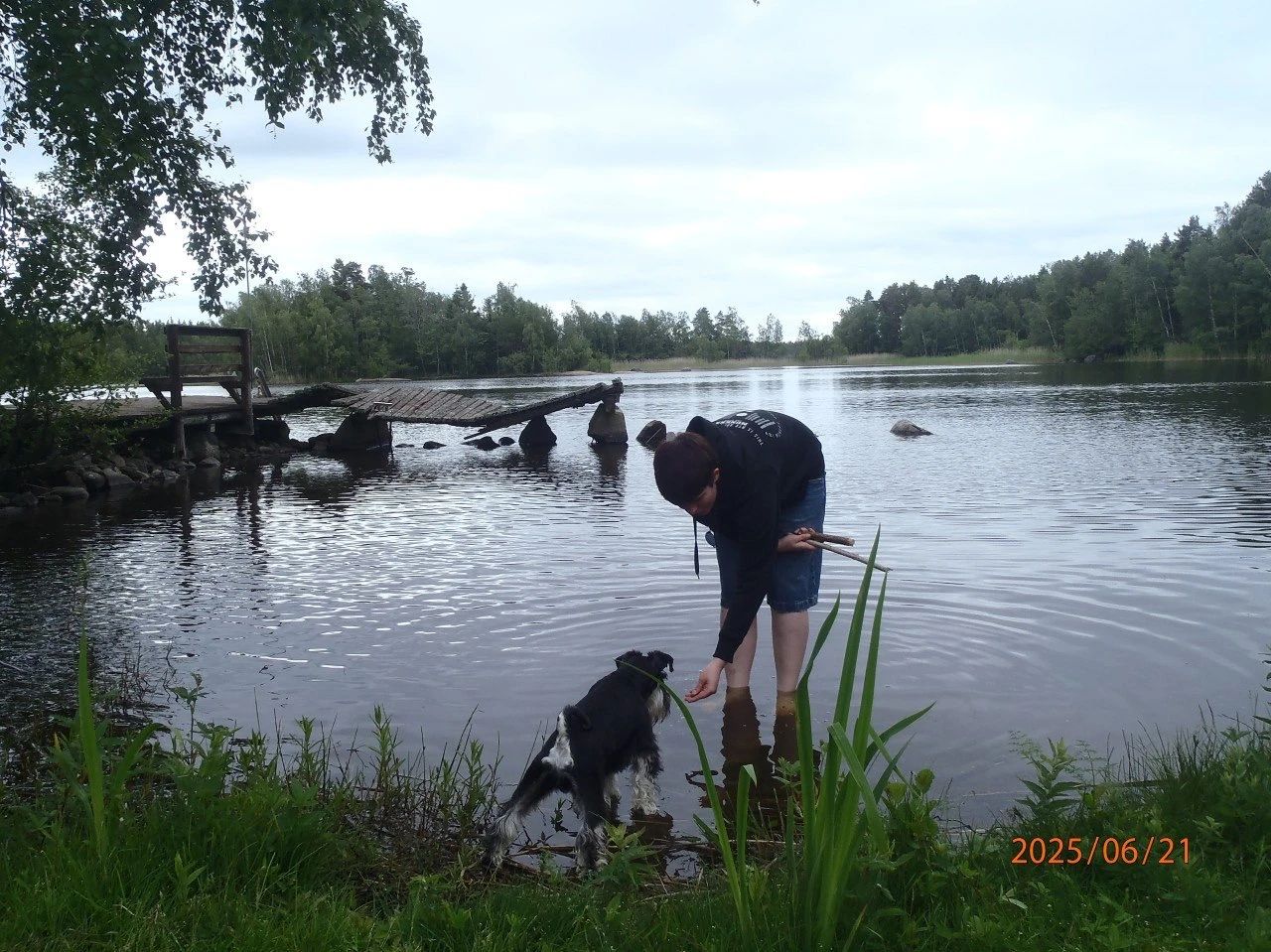 image-6