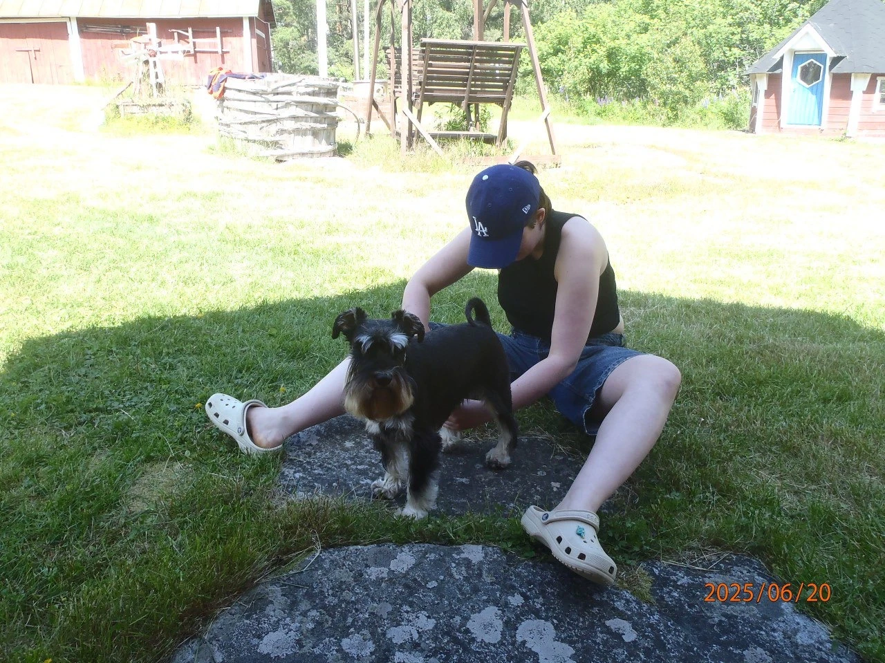 image-11
