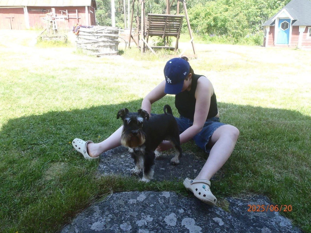 image-11