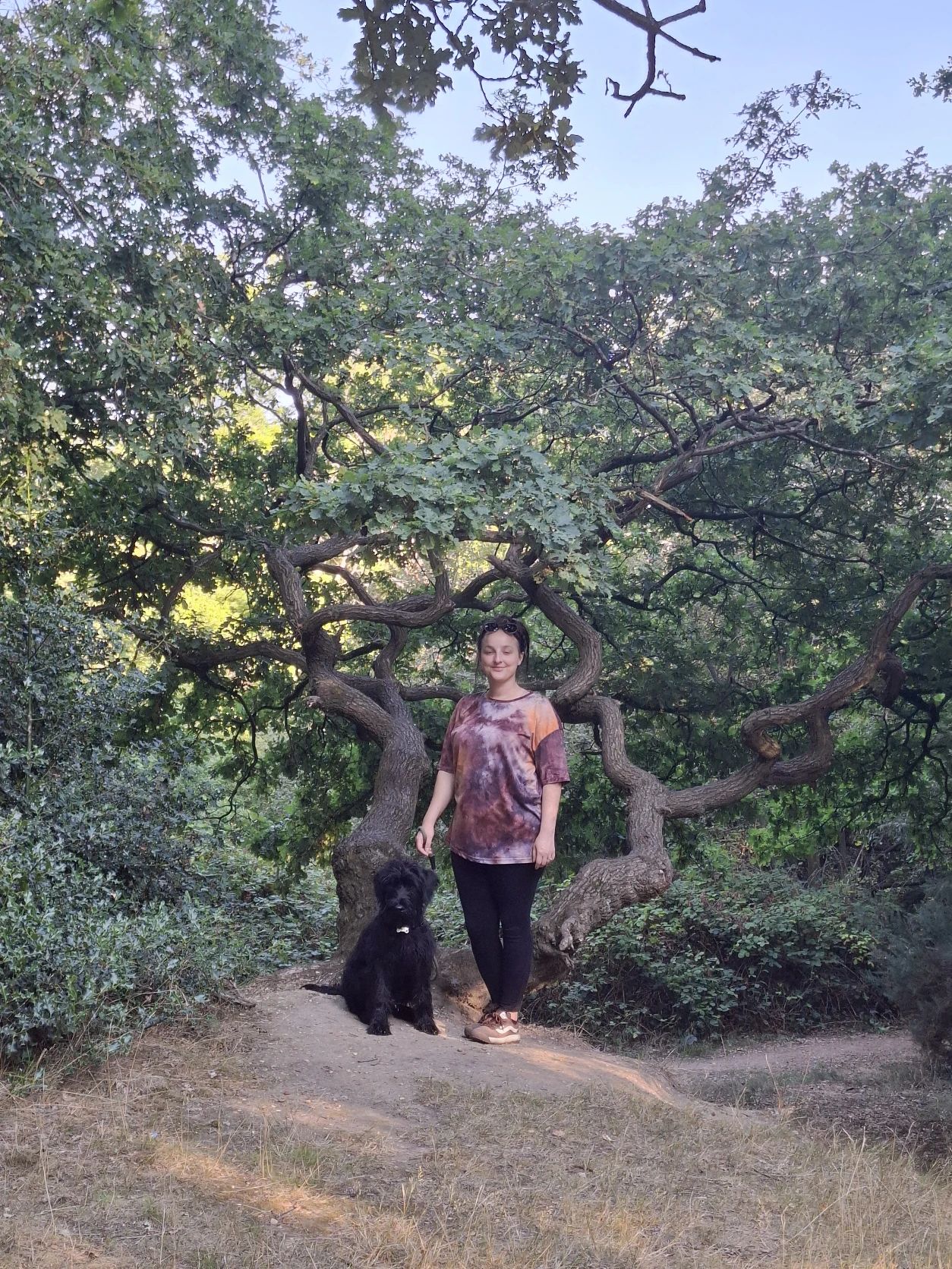 image-15