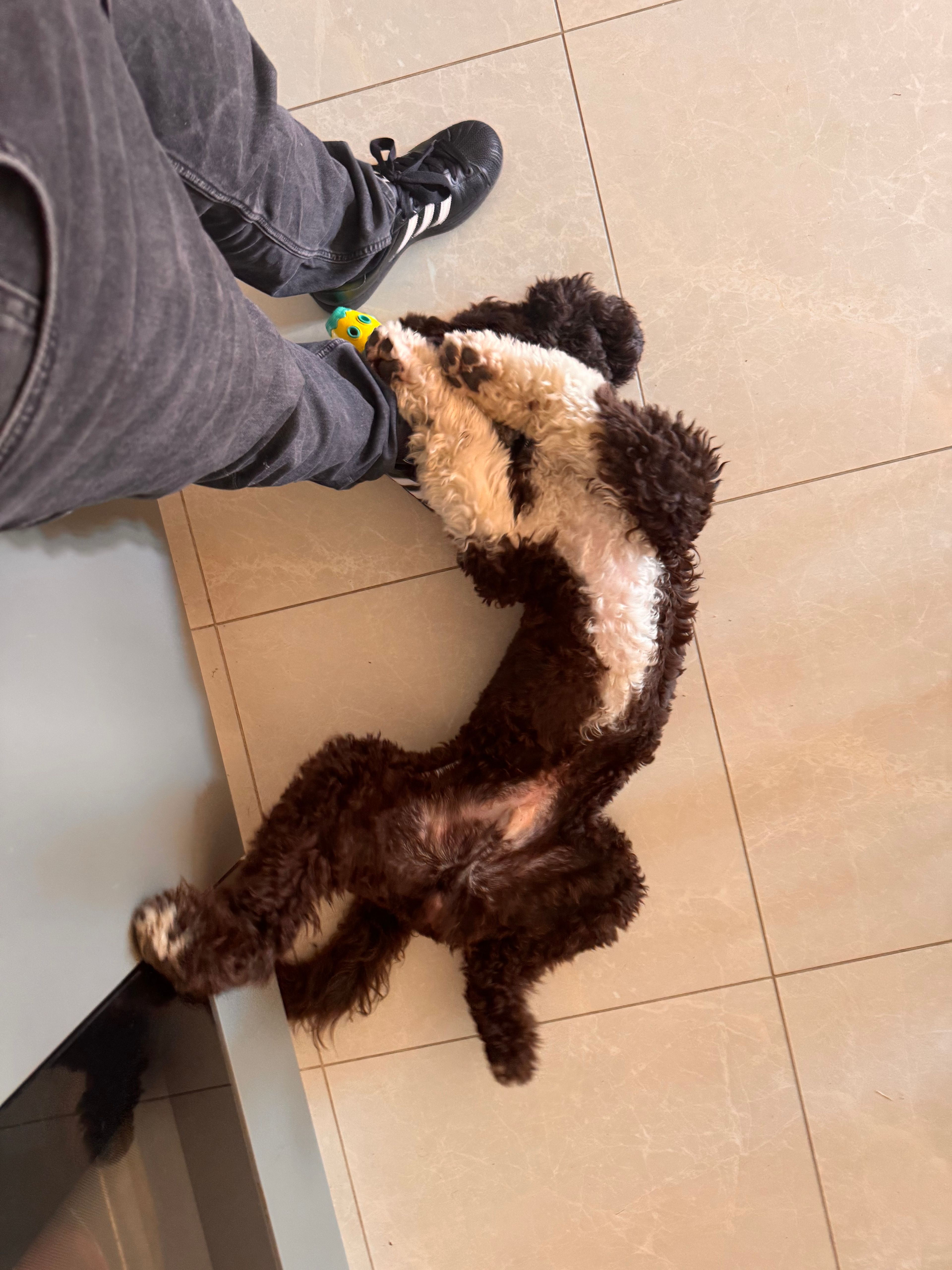 image-9