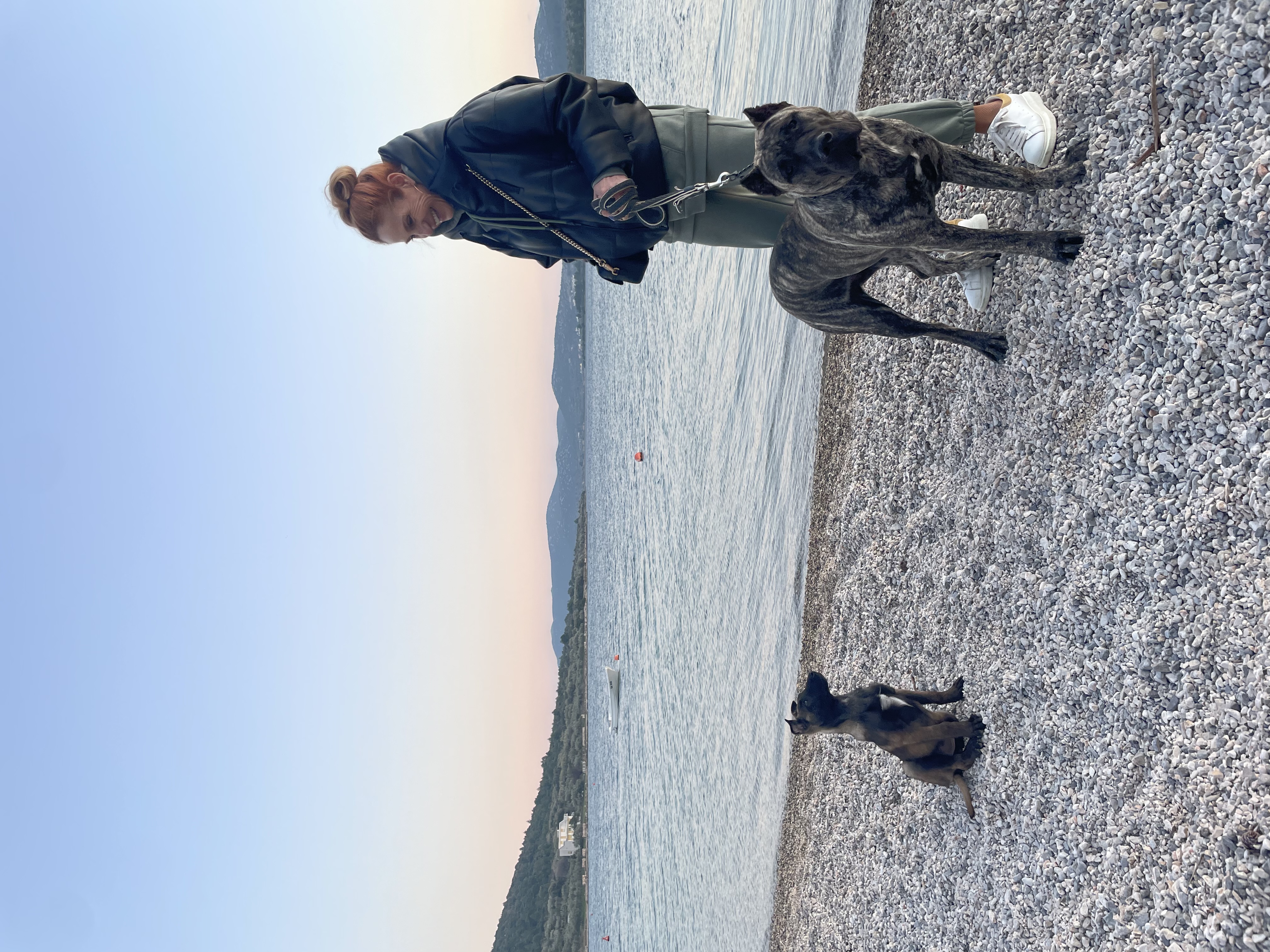 image-4