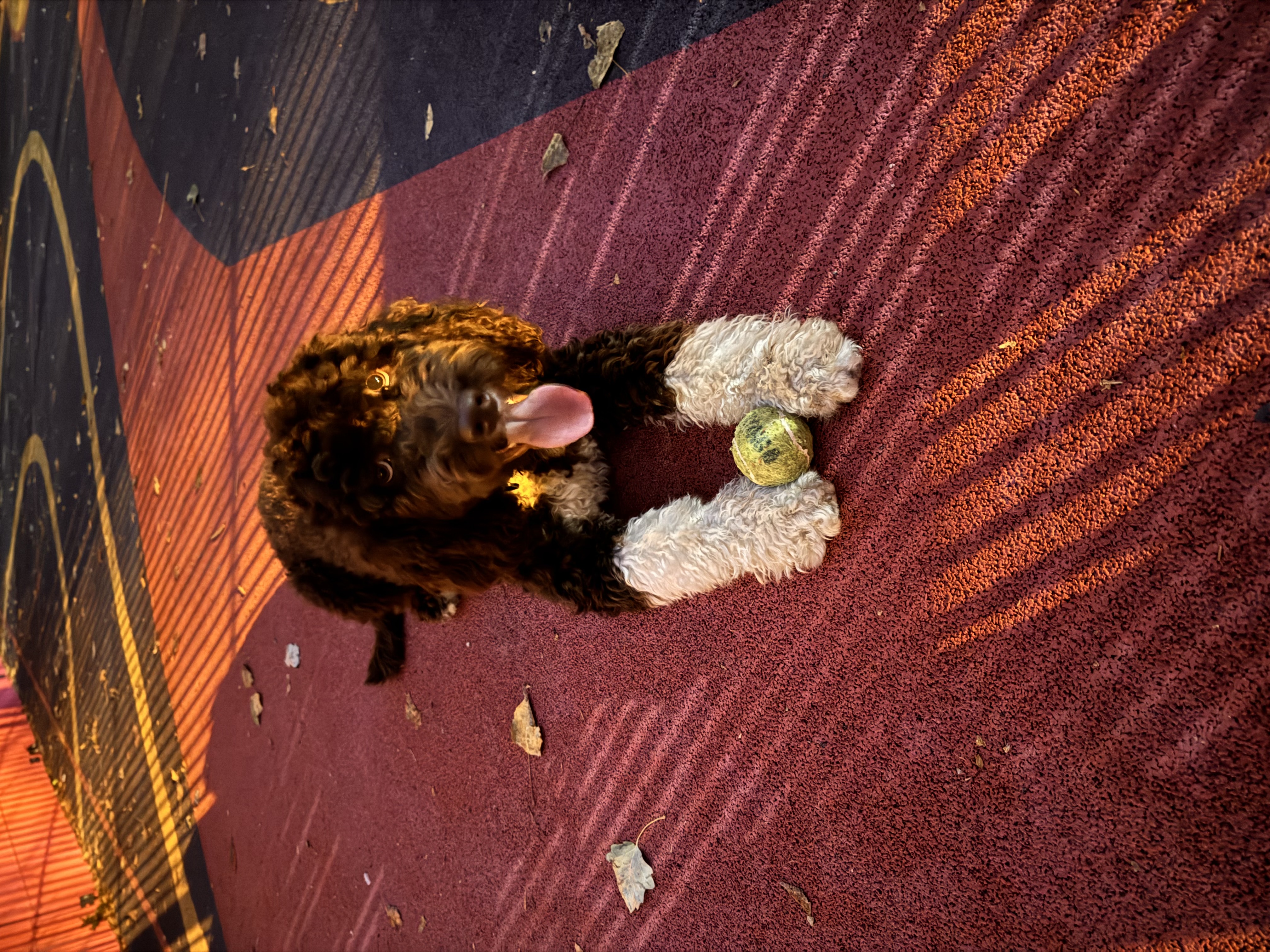 image-8