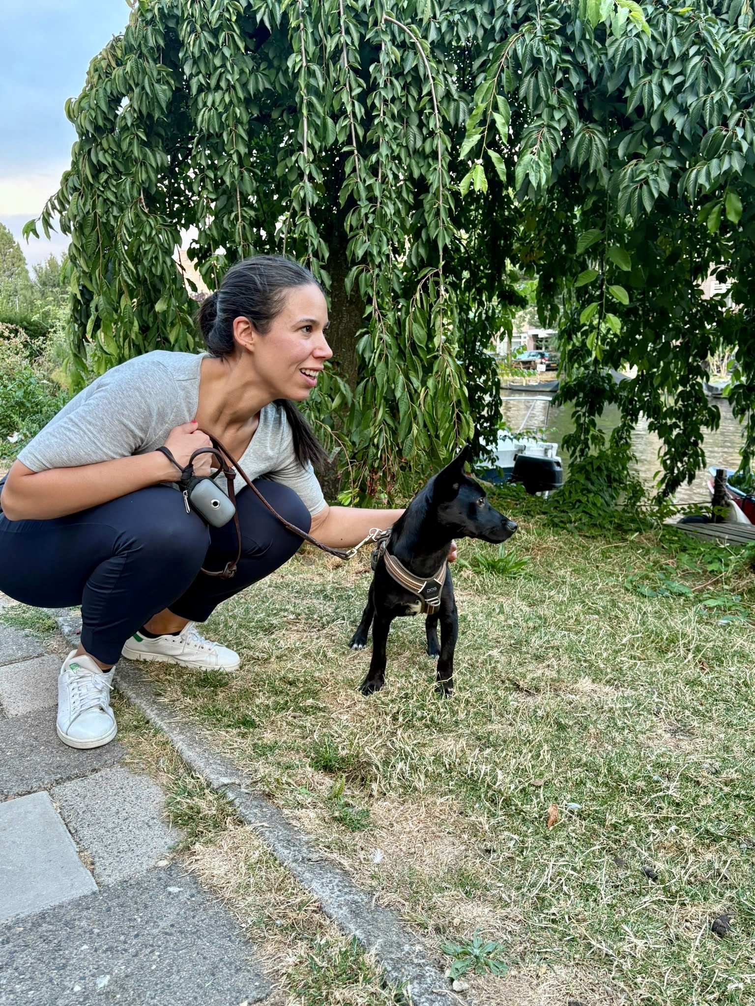 image-11
