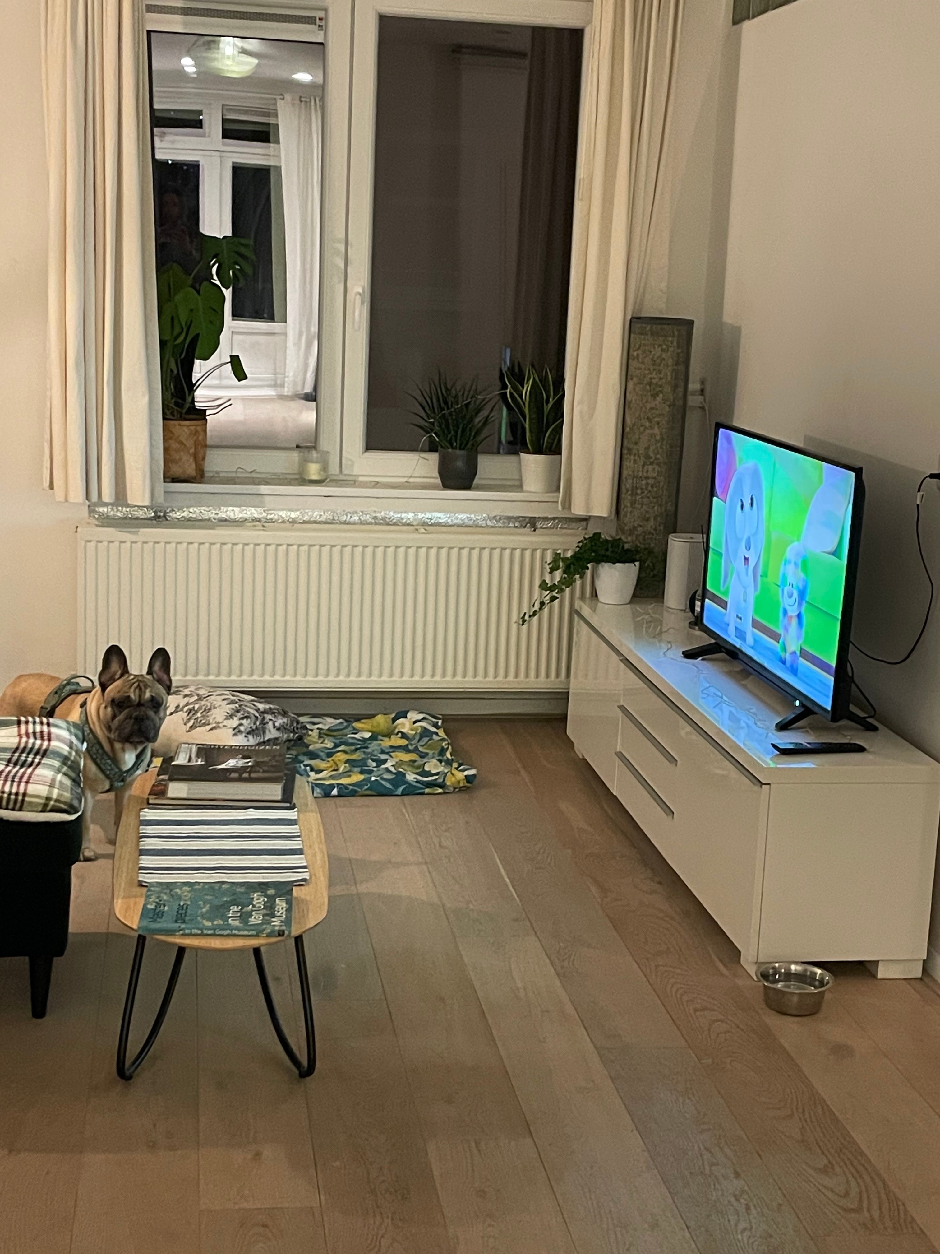 image-10