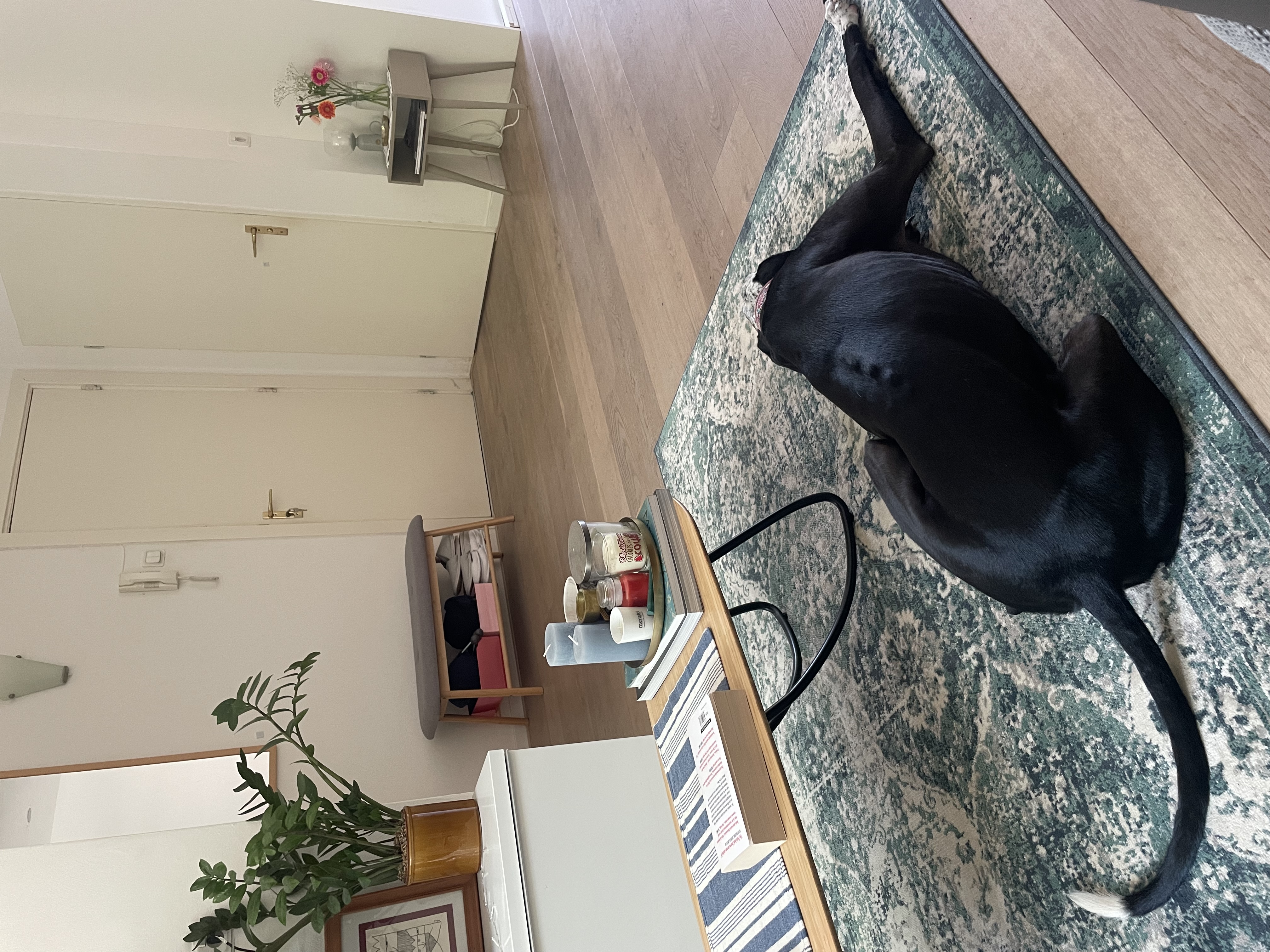 image-21