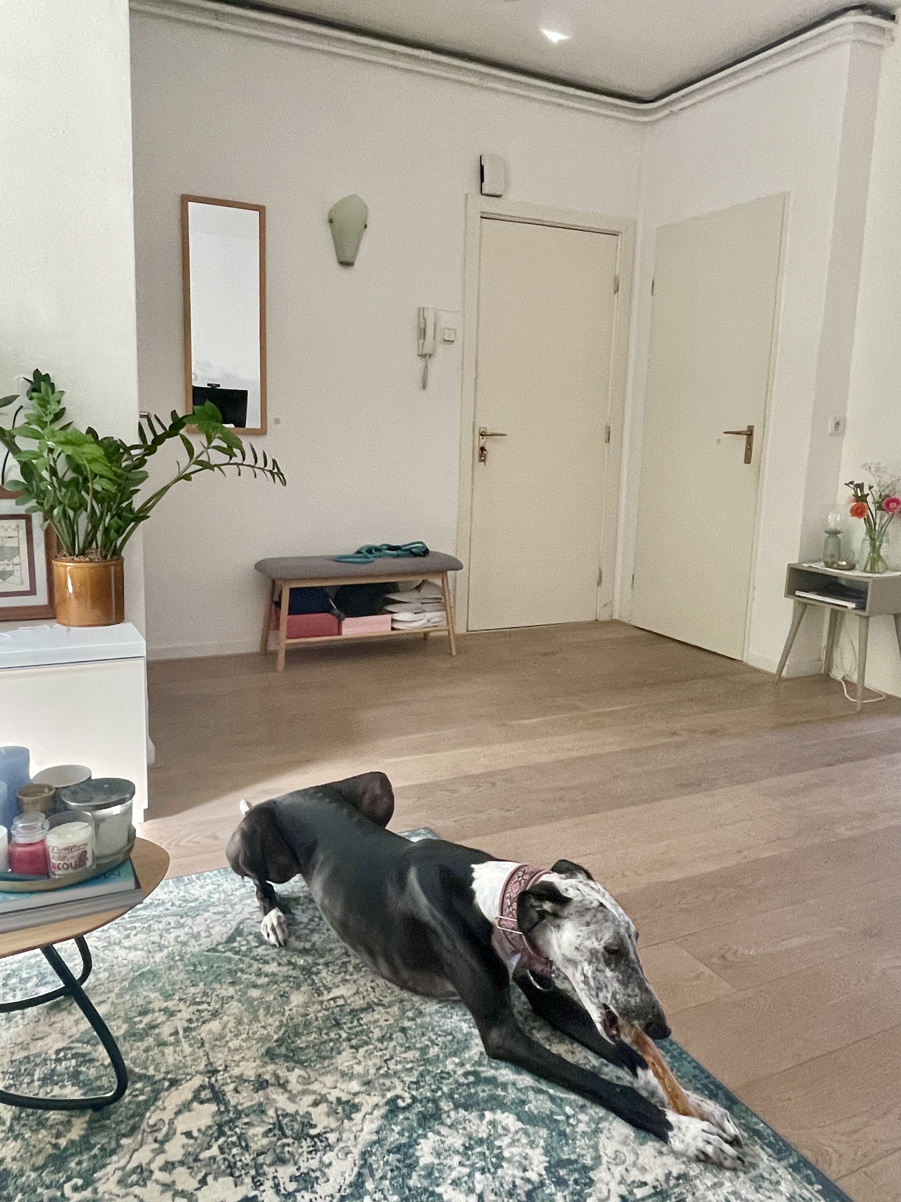 image-19