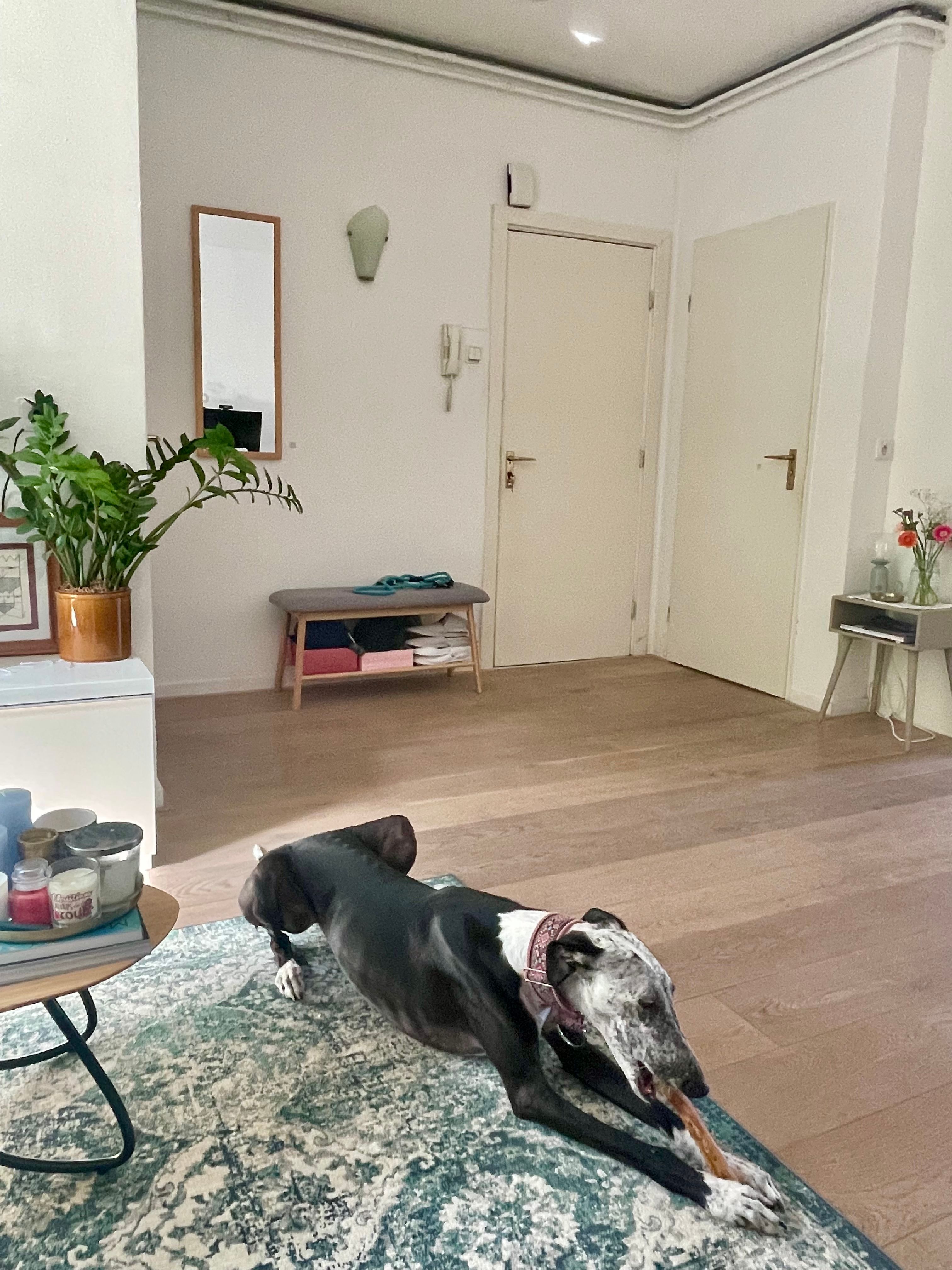image-19