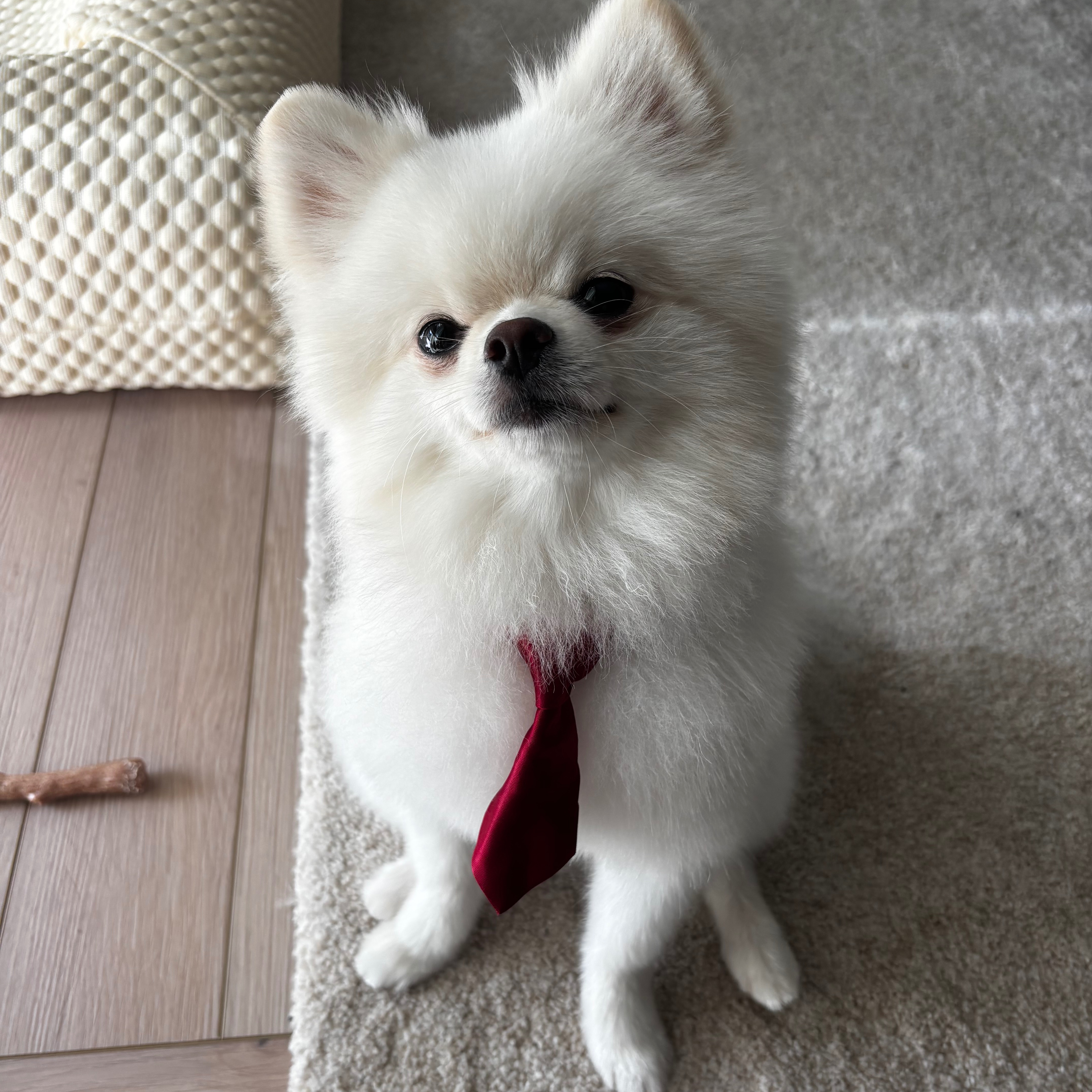 Olaf