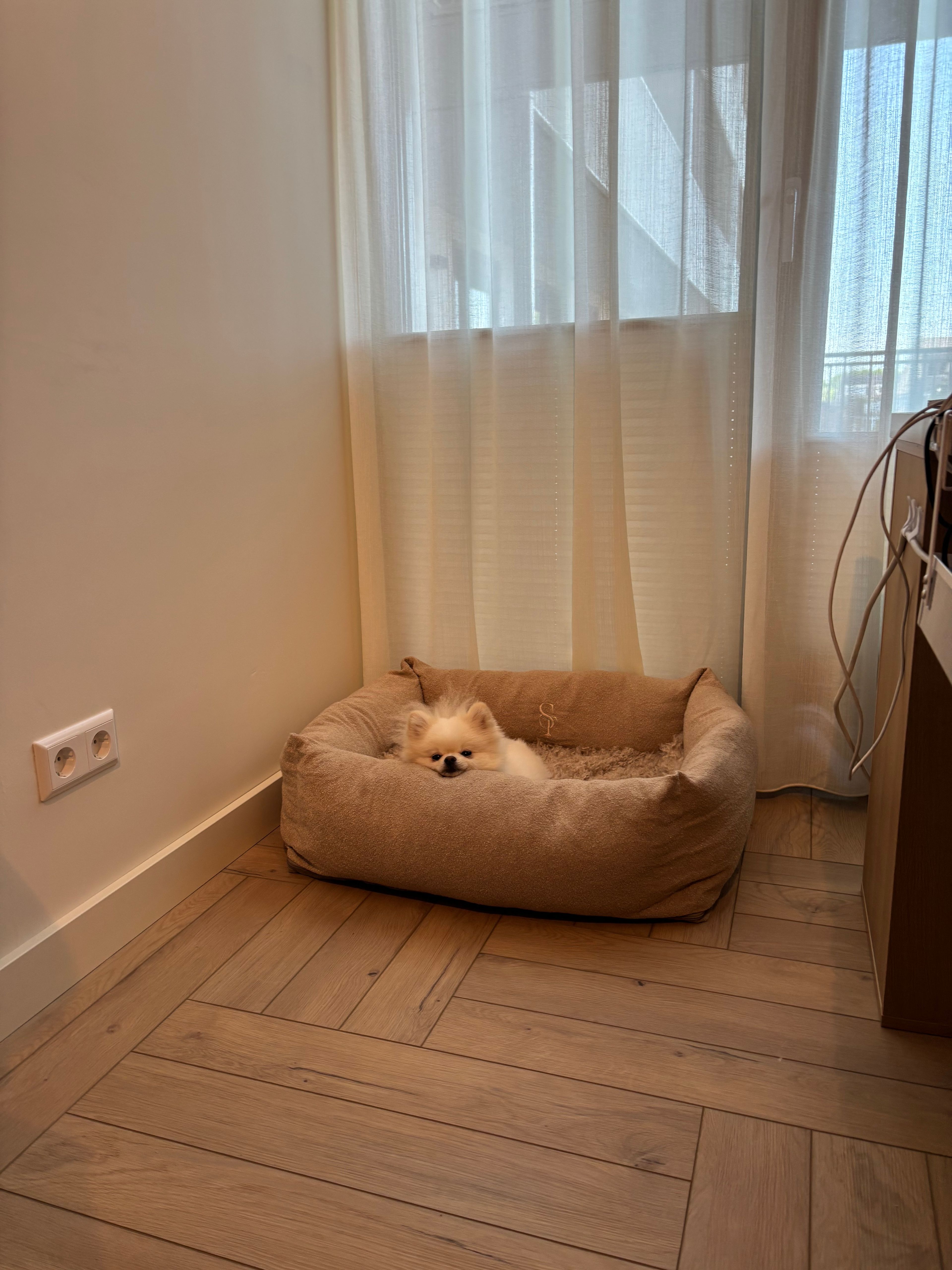 image-18